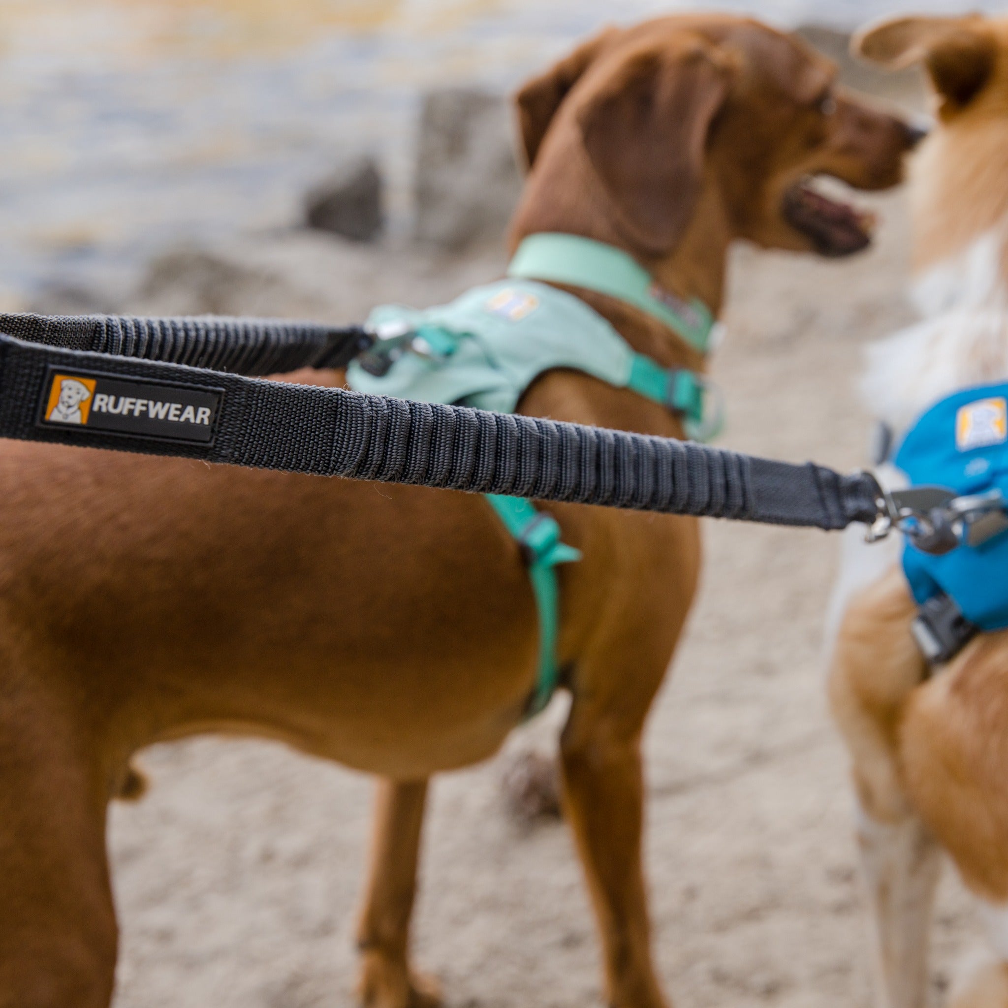 Ruffwear Double Track Dog Leash Coupler