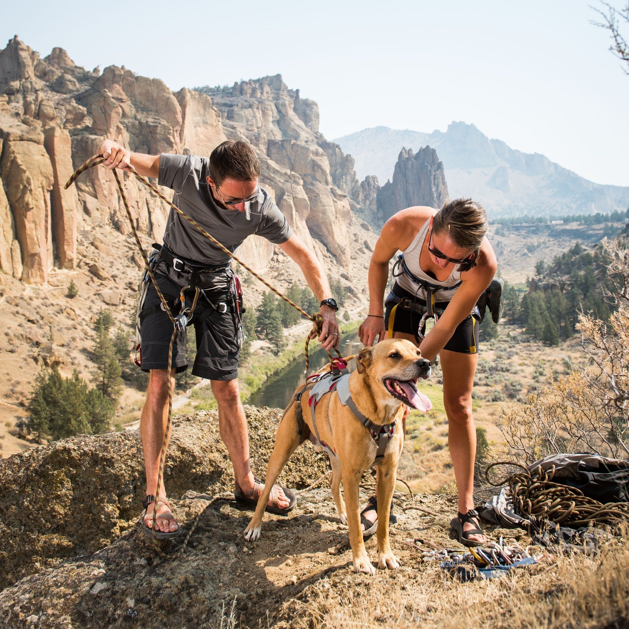 Ruffwear doubleback clearance harness