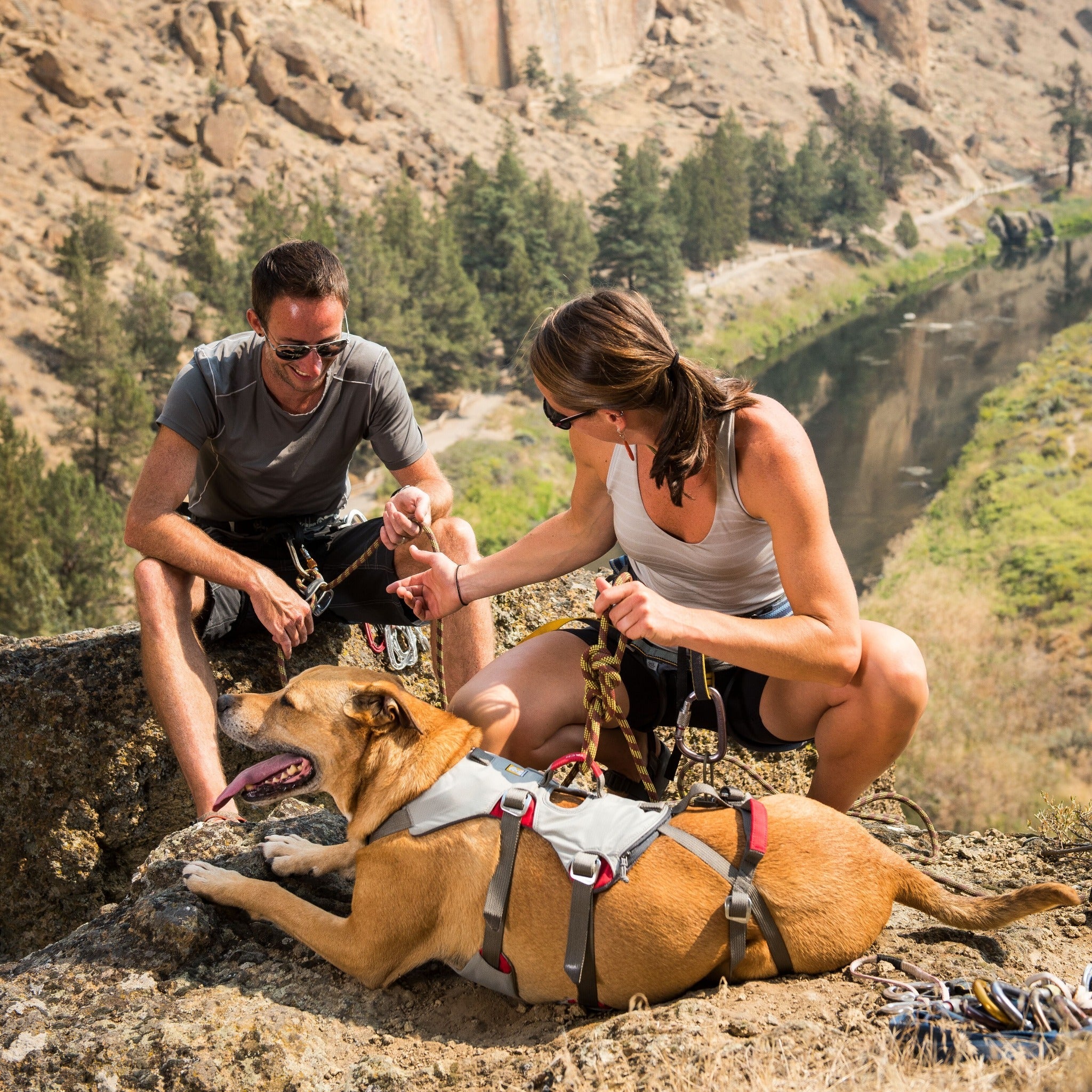 Ruffwear Doubleback Dog Harness