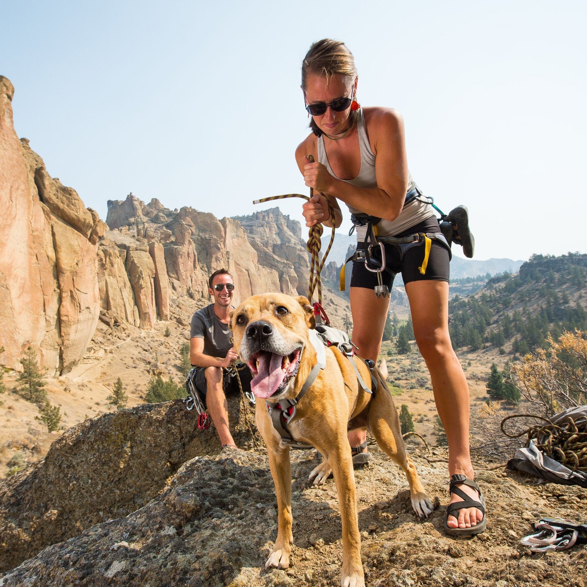 Ruffwear double clearance back