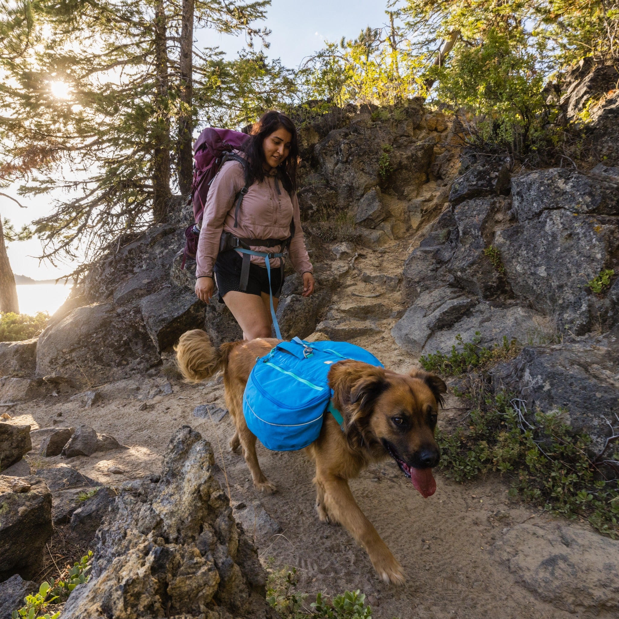 Ruffwear Flagline Dog Leash