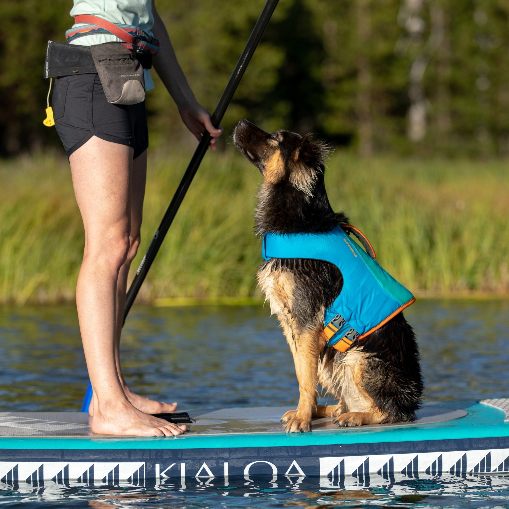 Large Dog Jacket Padded Waterproof Pet Clothes Warm Windbreaker Vest Coat  Winter | eBay