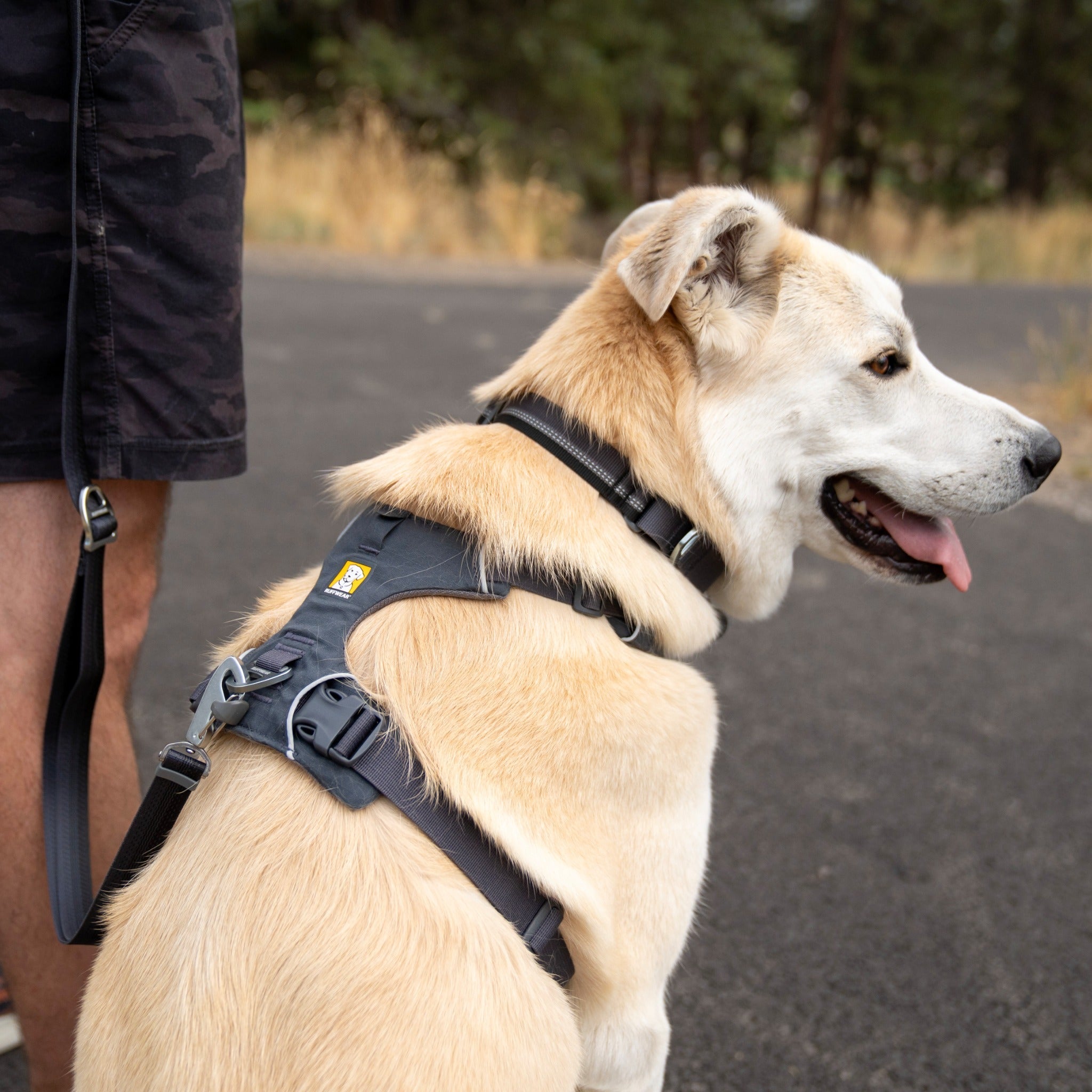 Ruffwear Front Range Dog Harness