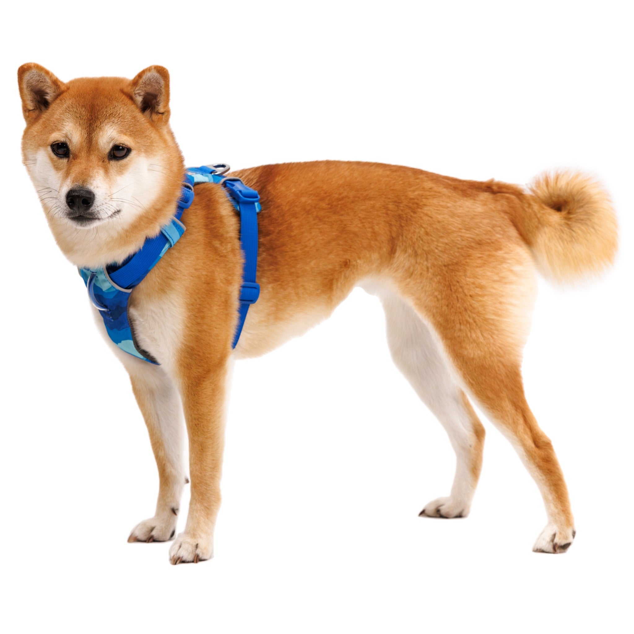 Ruffwear Front Range Harness Hundegeschirr