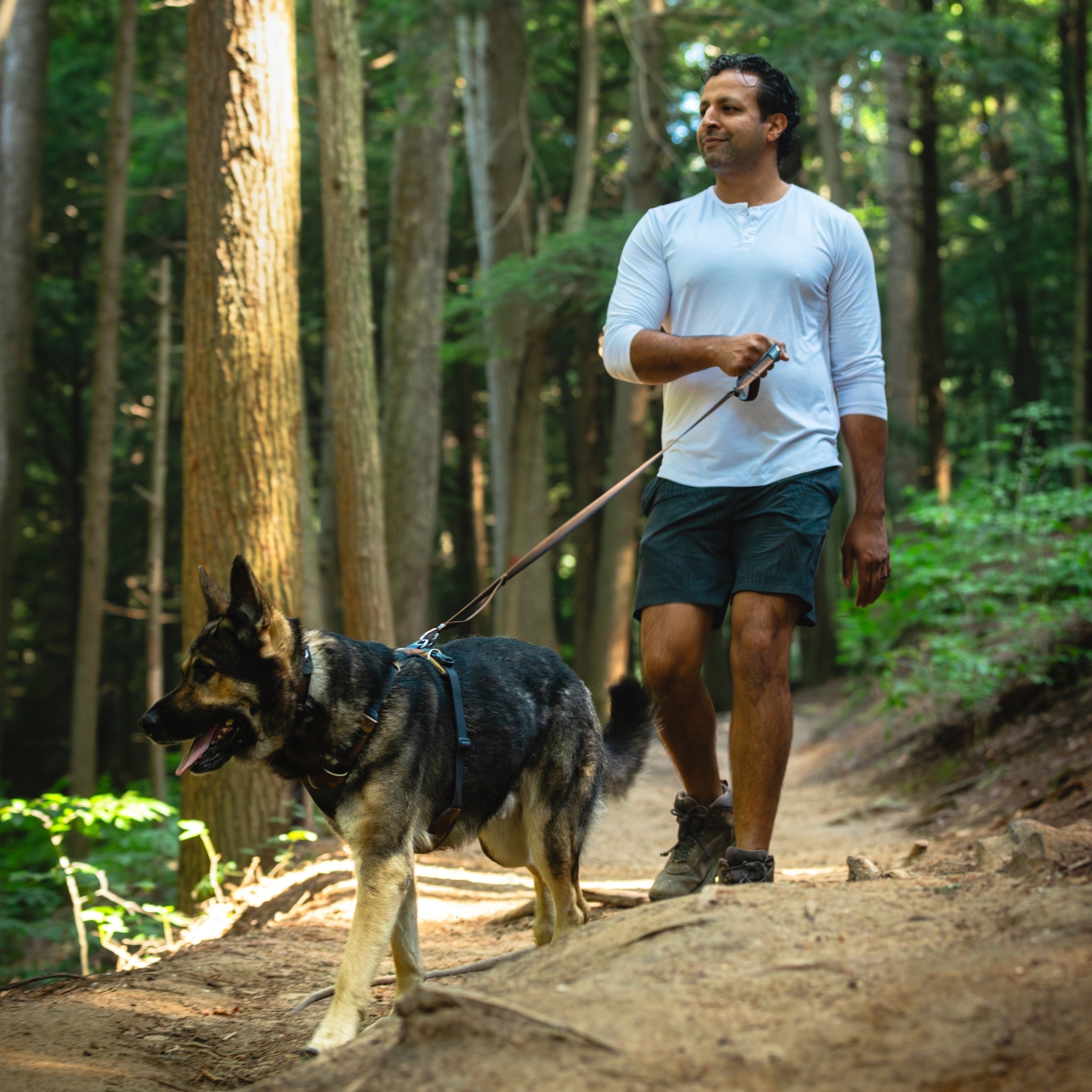 Ruffwear Front Range Dog Harness