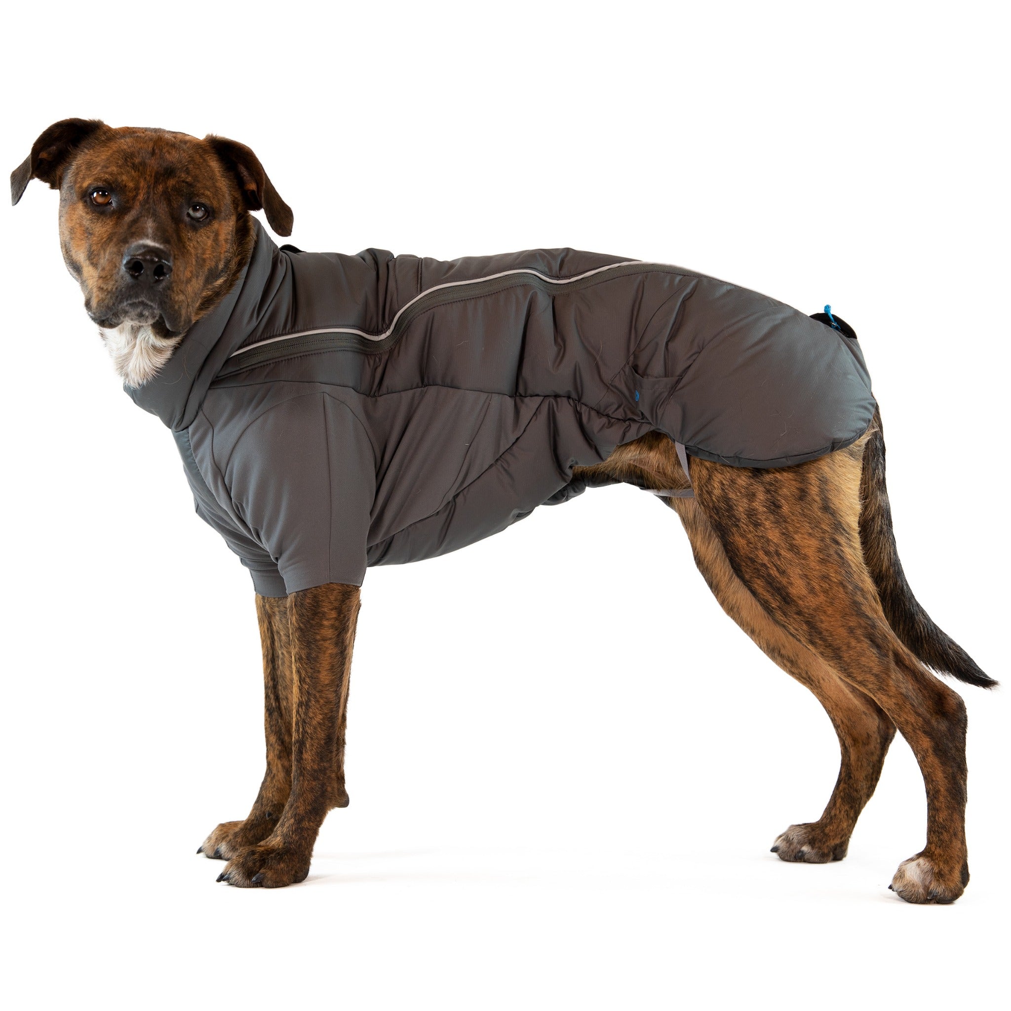 Ruffwear cloud 2024 chaser sale