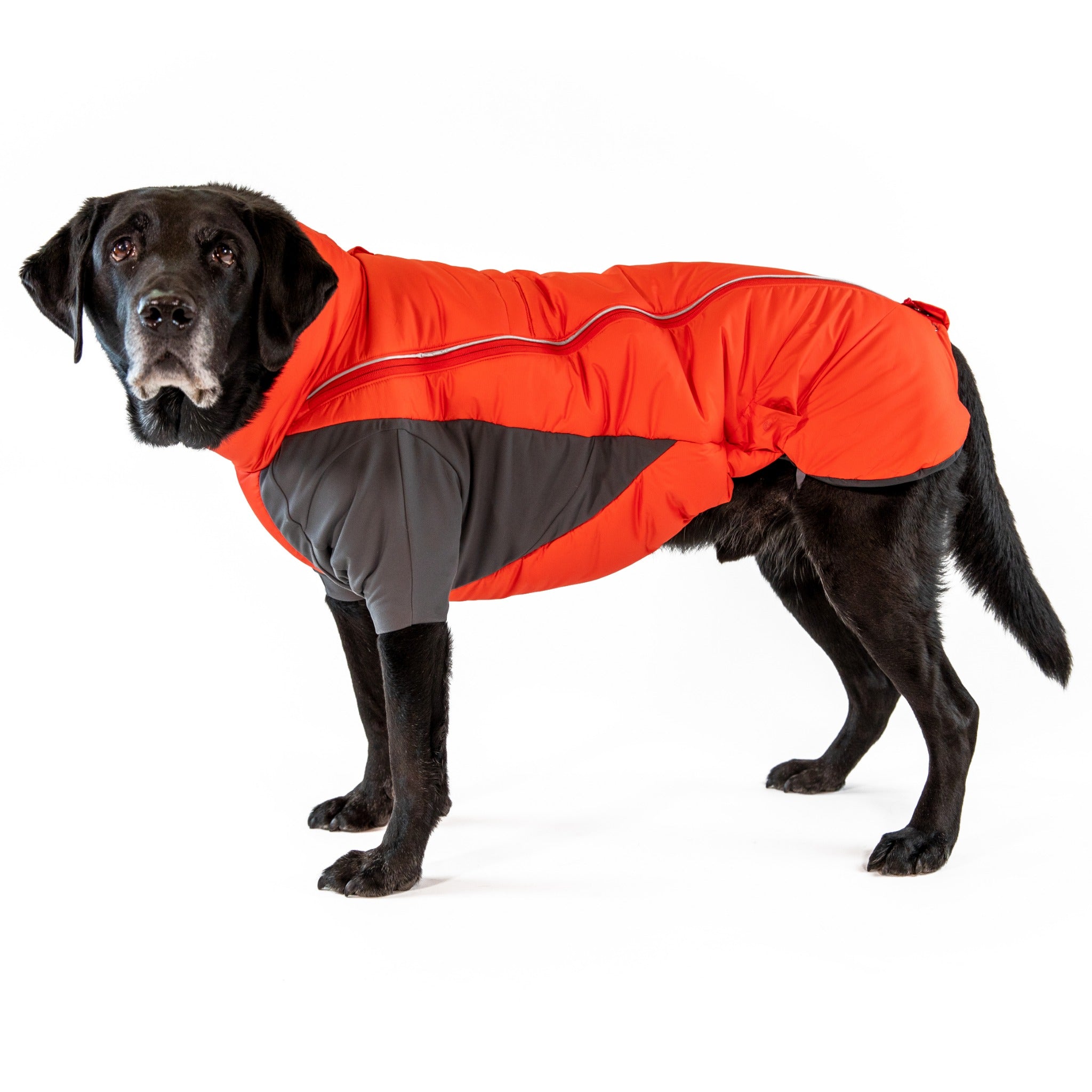 Ruffwear Furness Jacket dog coat