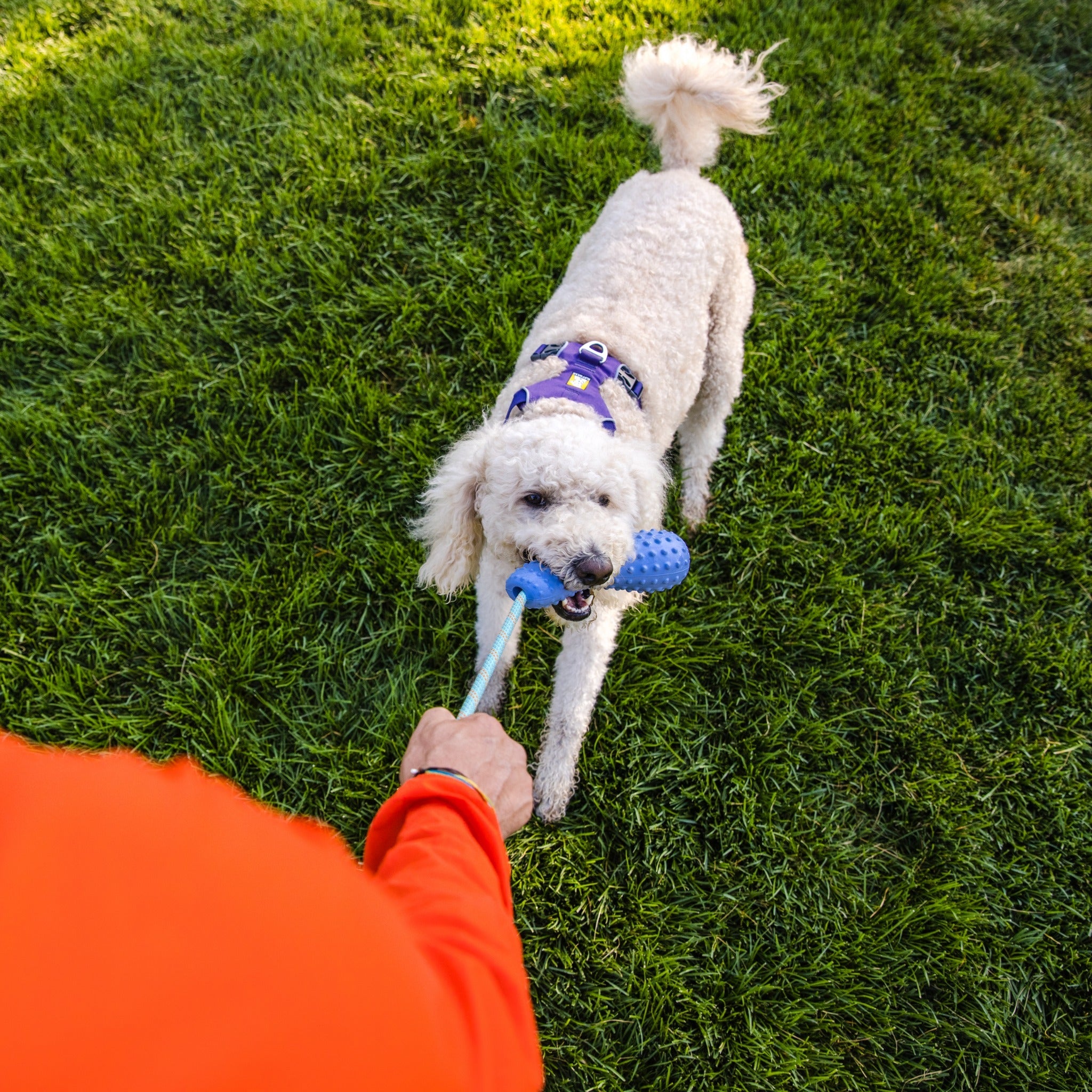 Ruffwear Gourdo dog toy