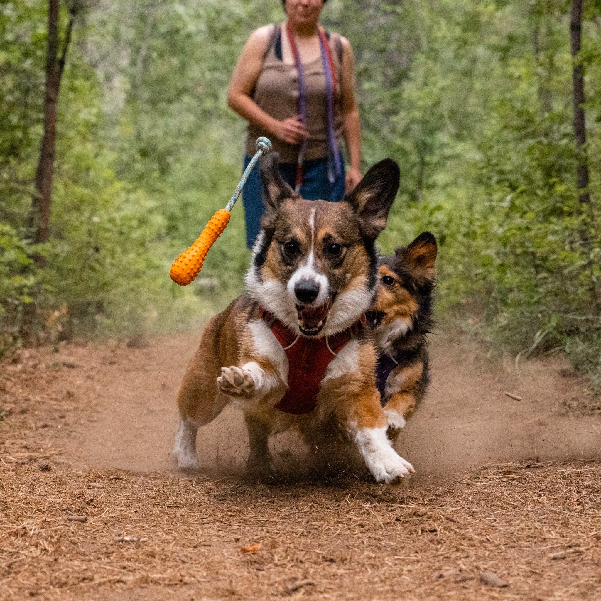 Ruffwear Gourdo dog toy