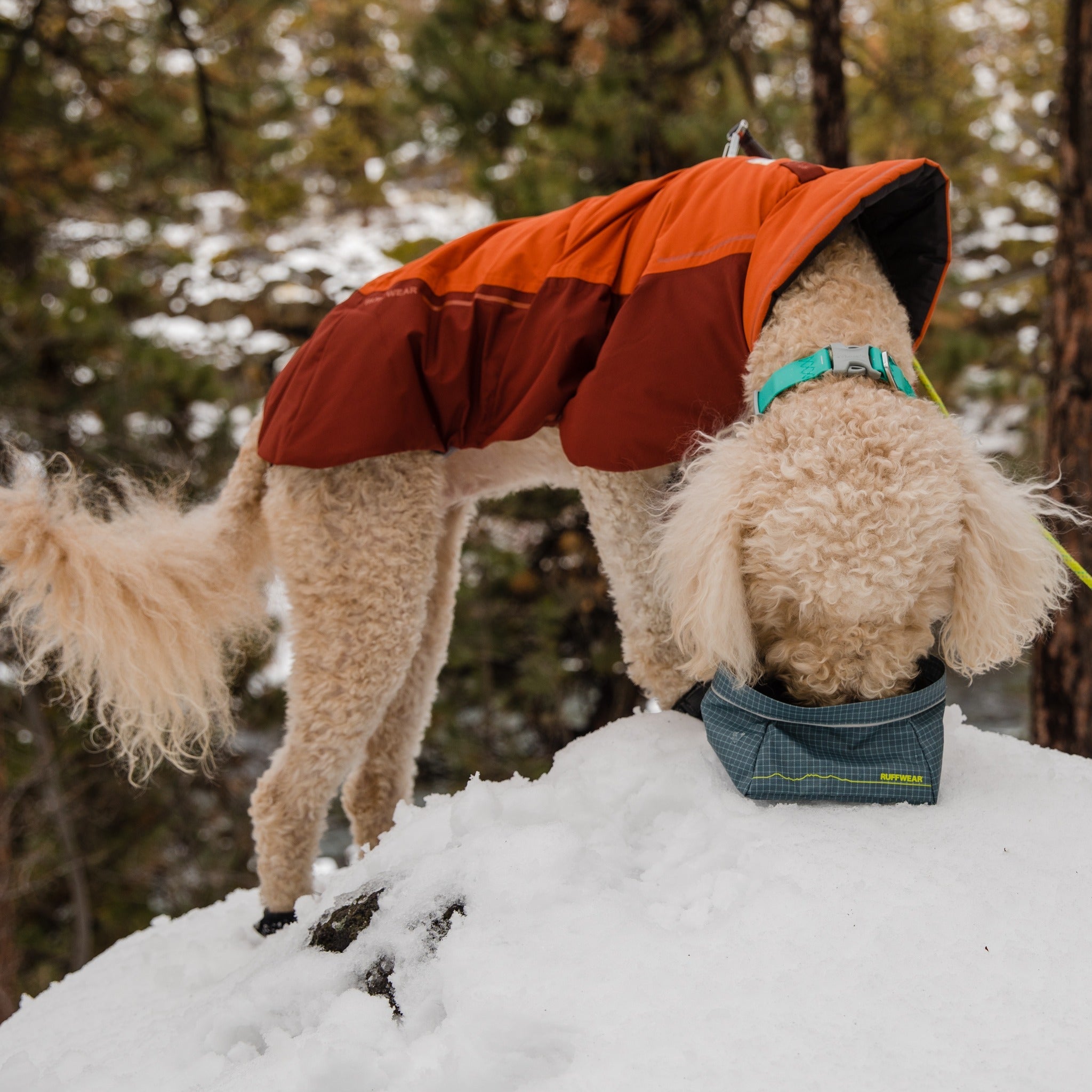 Ruffwear Great Basin Bowl gamelle pour chien