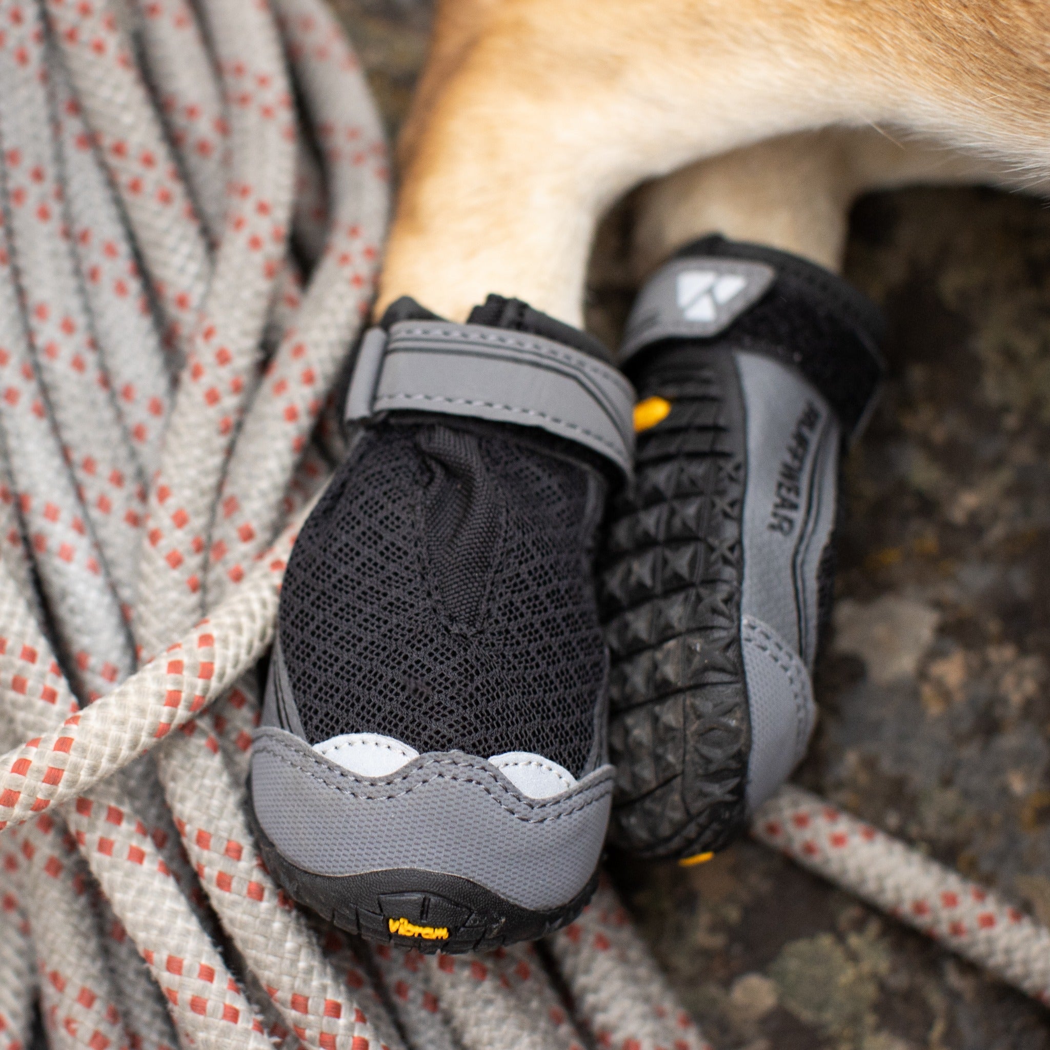 Vibram dog sale