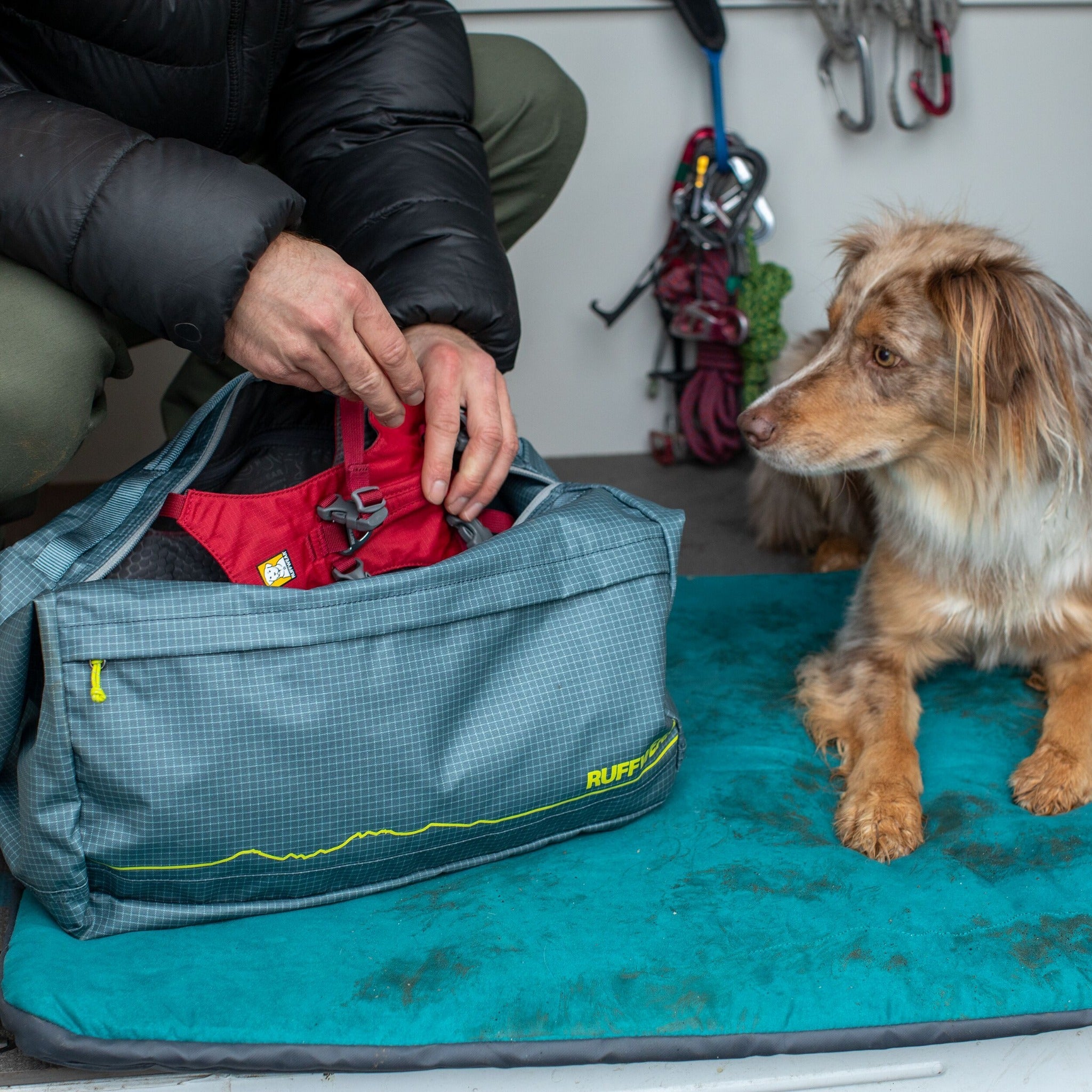 Dog store equipment bag