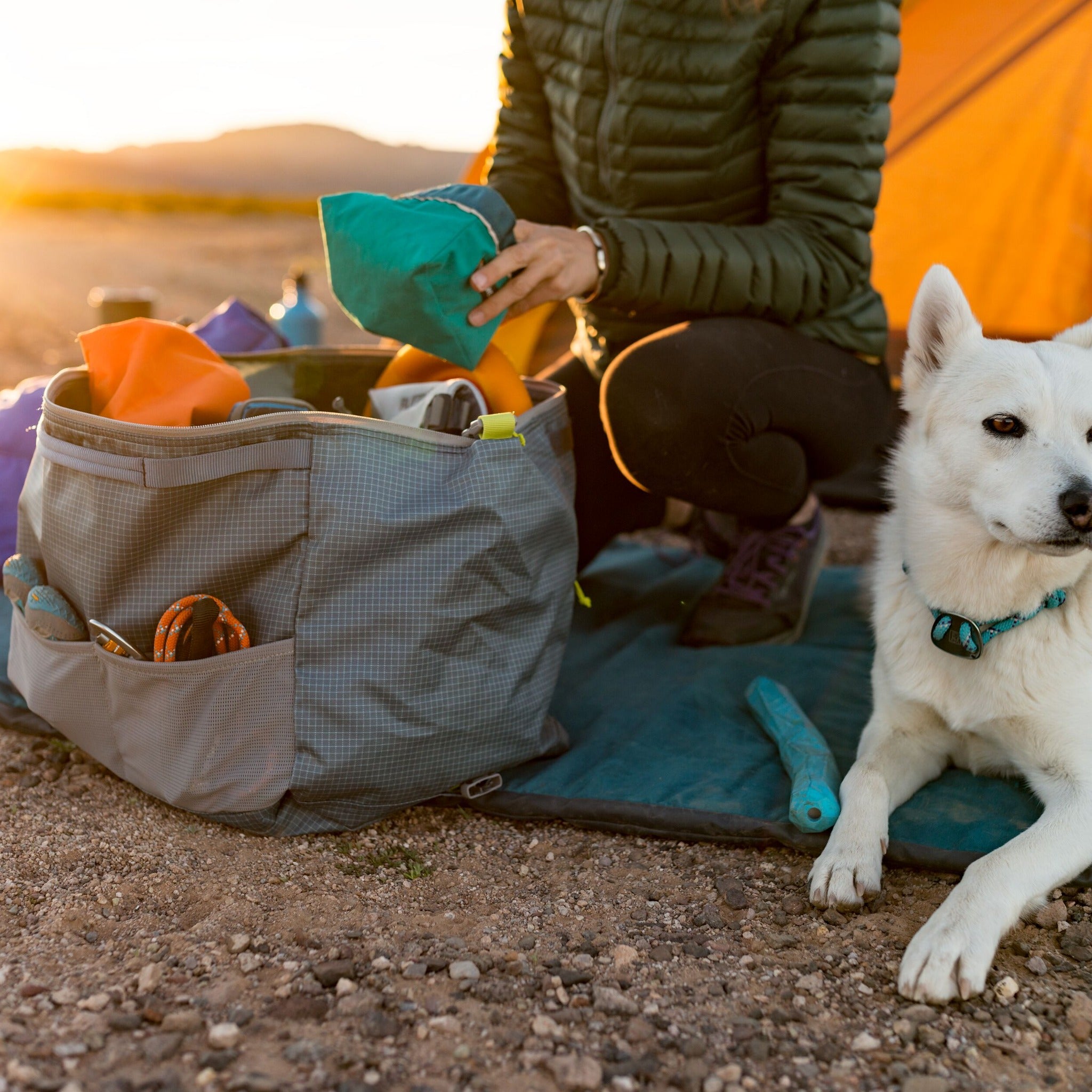 Dog store equipment bag