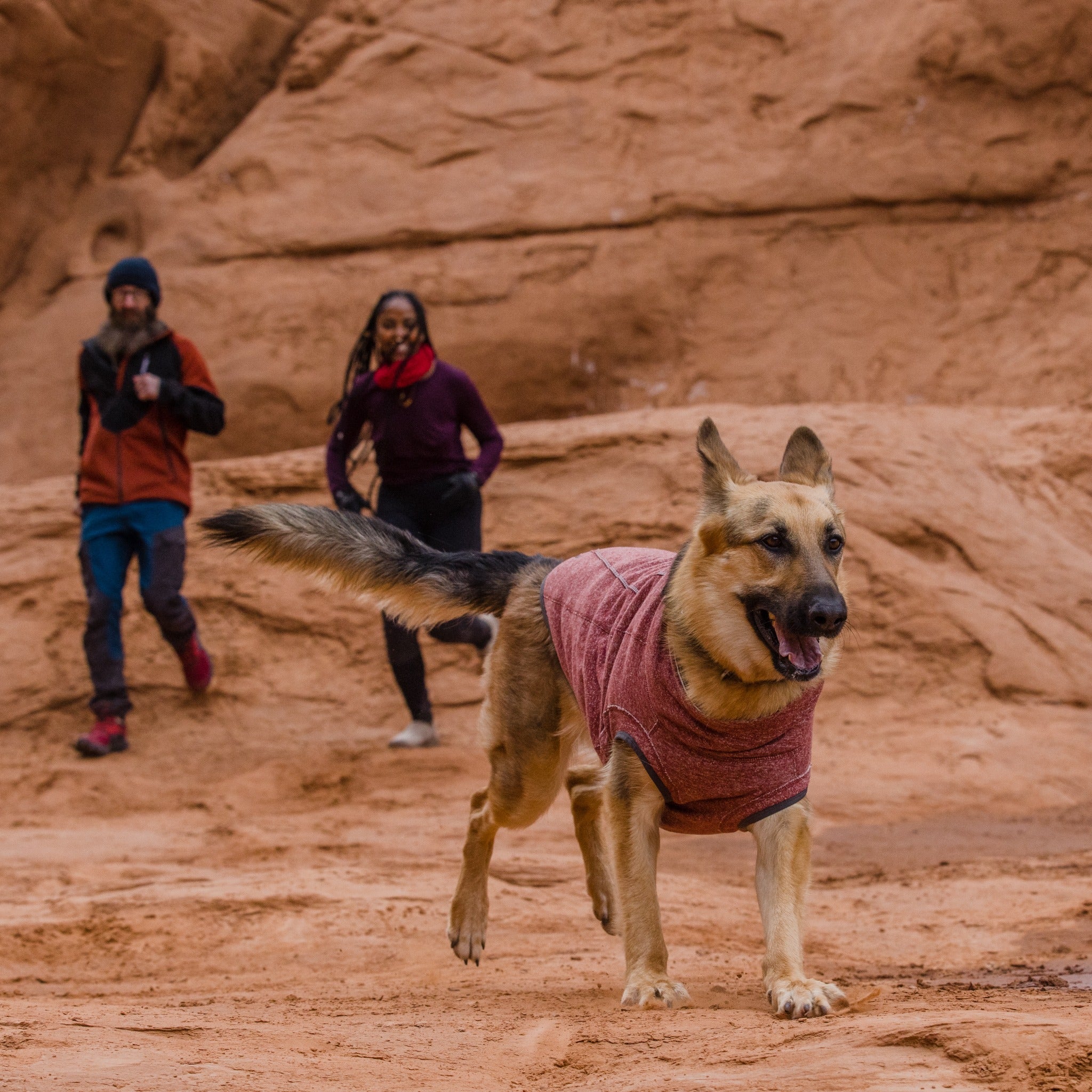 Ruffwear Hemp Hound Sweater dog coat