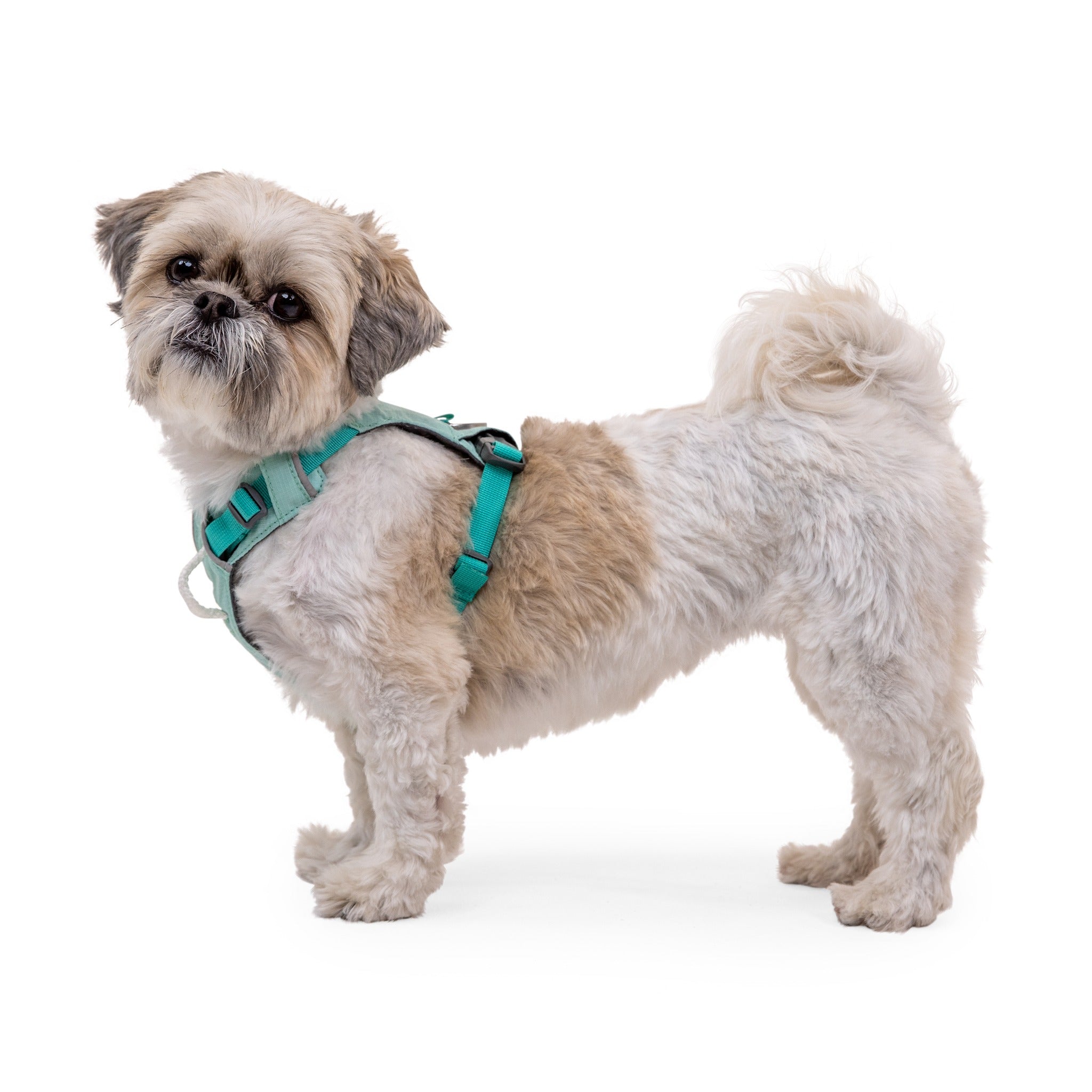 Ruffwear Hi Light Dog Harness