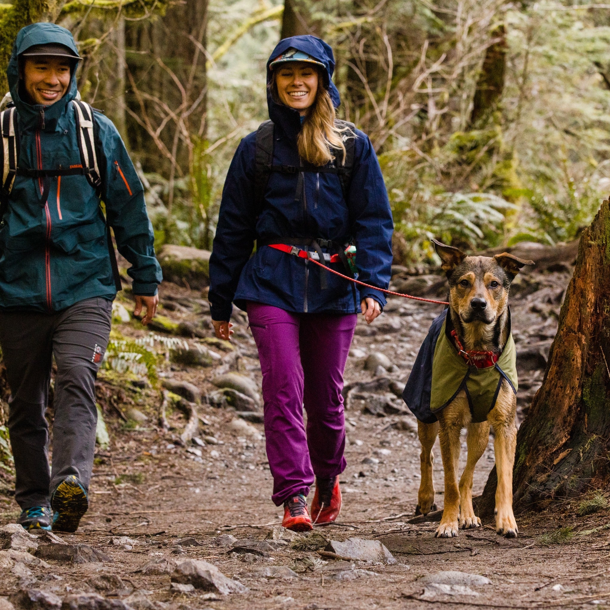 Ruffwear Hitch Hiker Dog Leash