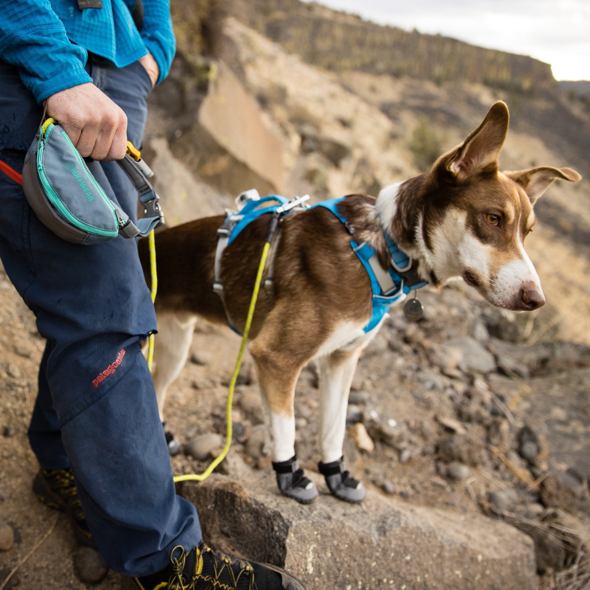 Ruffwear Hitch Hiker Dog Leash