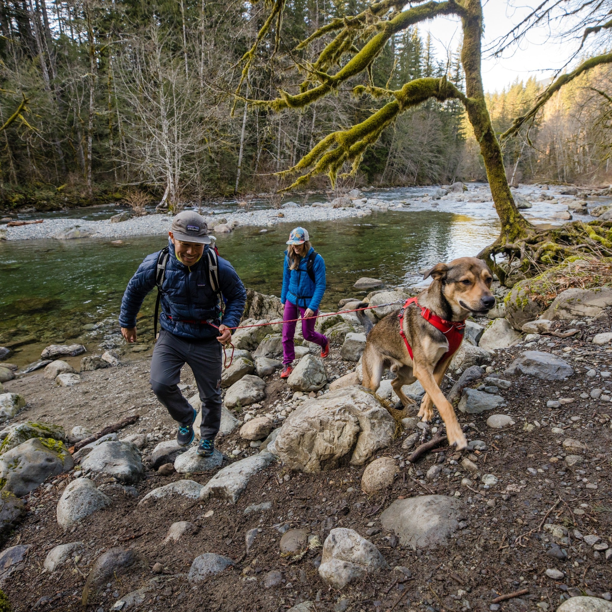 Hiking dog clearance leash