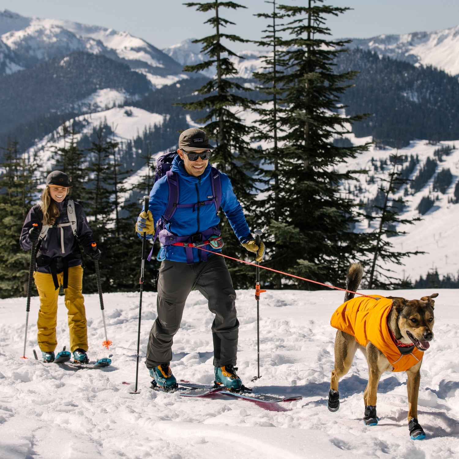 Ruffwear Hitch Hiker Leash, Hundeleine - Woofshack