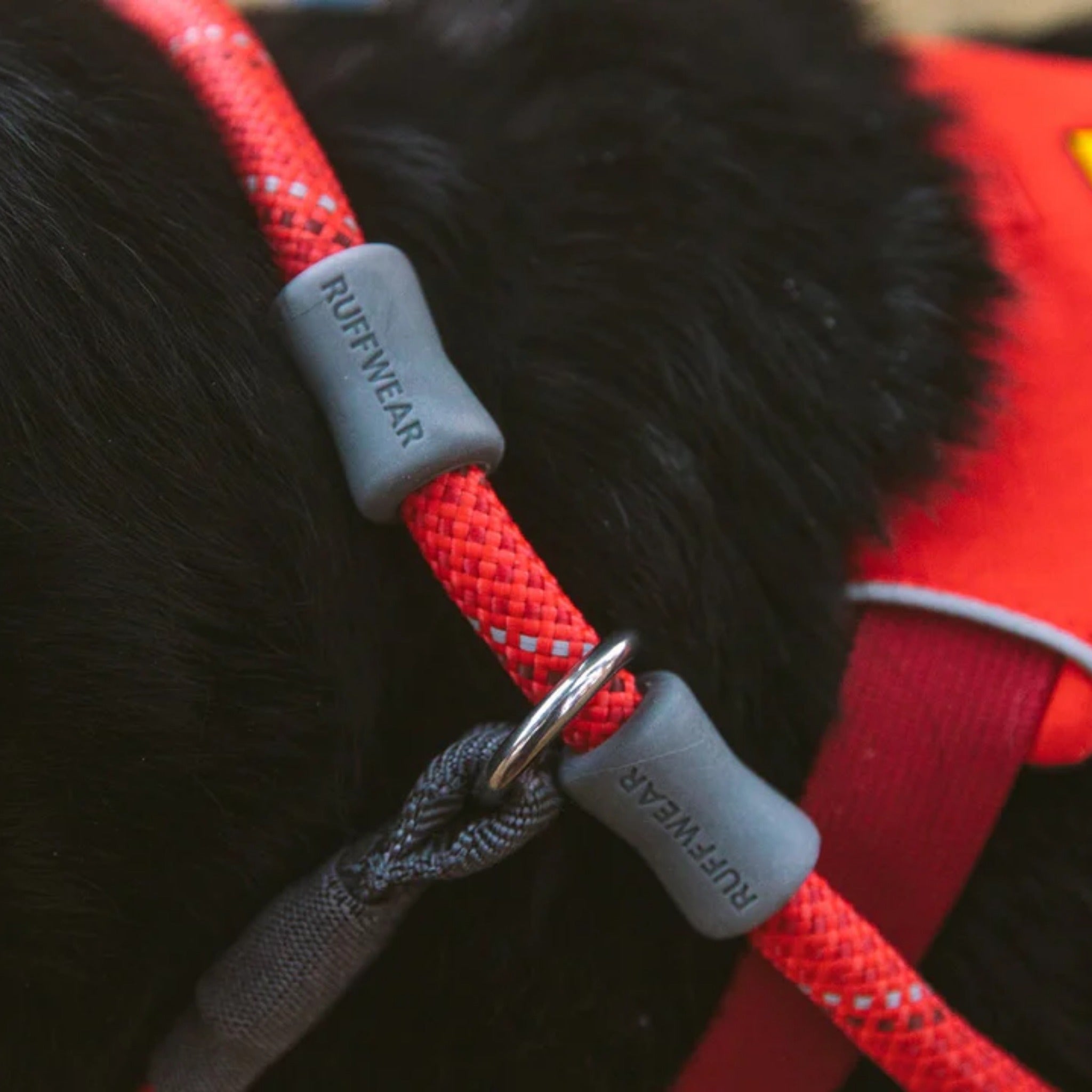 Ruffwear Just a Cinch dog leash