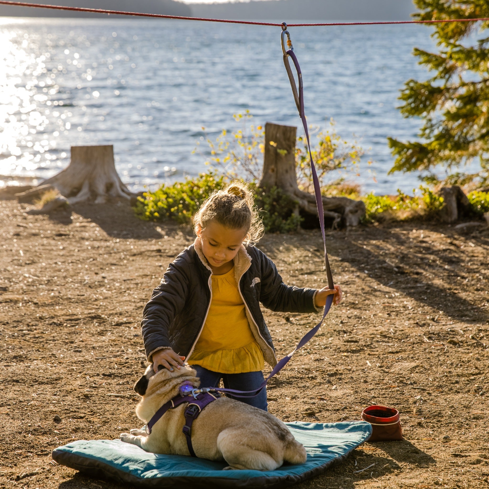 Ruffwear Knot a Hitch dog hitching system