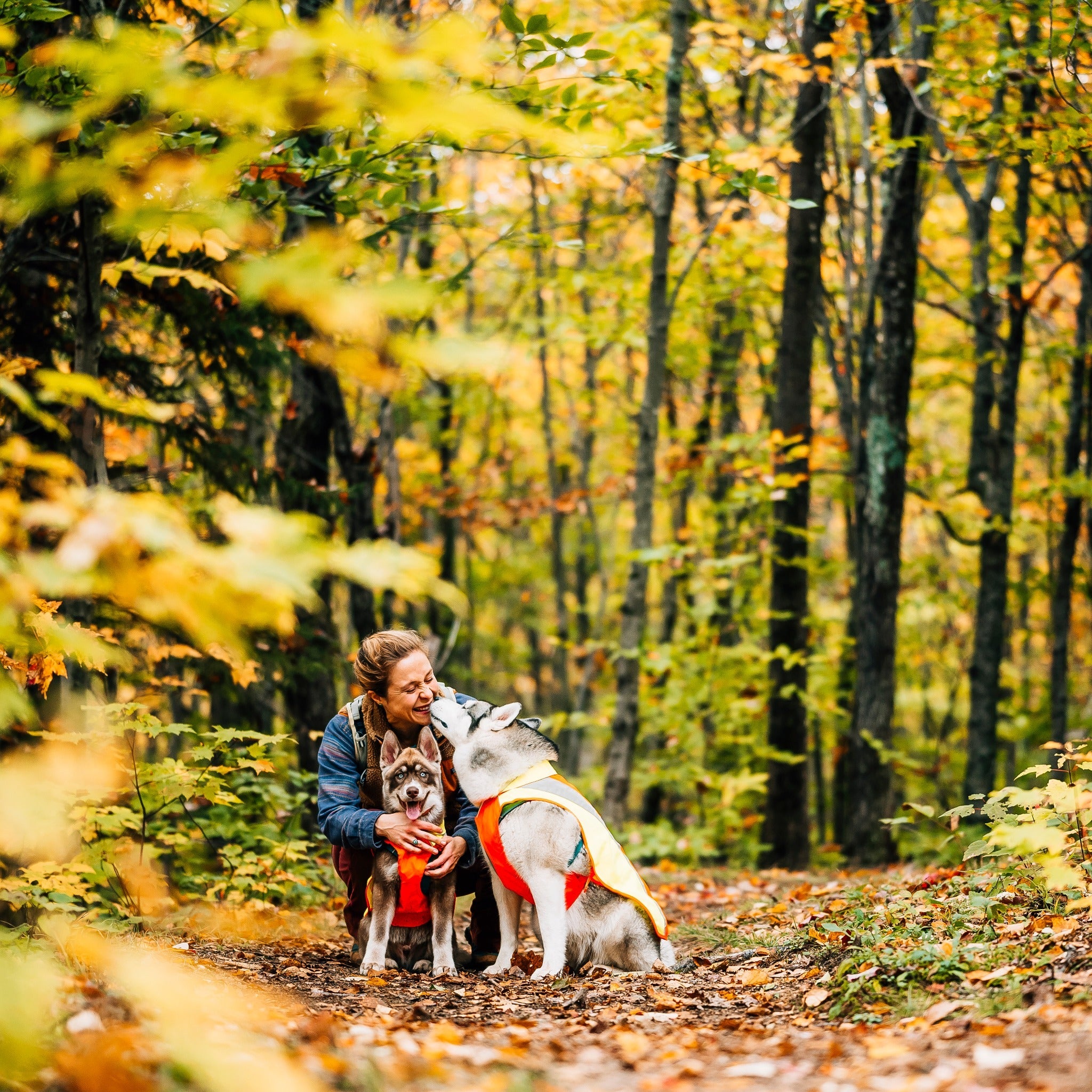 Ruffwear Lumenglow High Vis Dog Safety Jacket