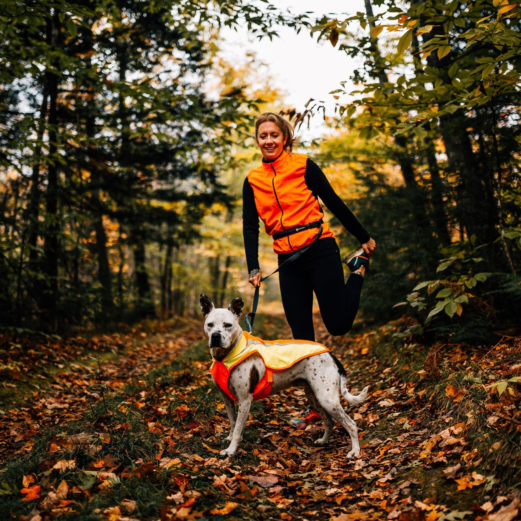 Hi vis coats for 2024 dogs