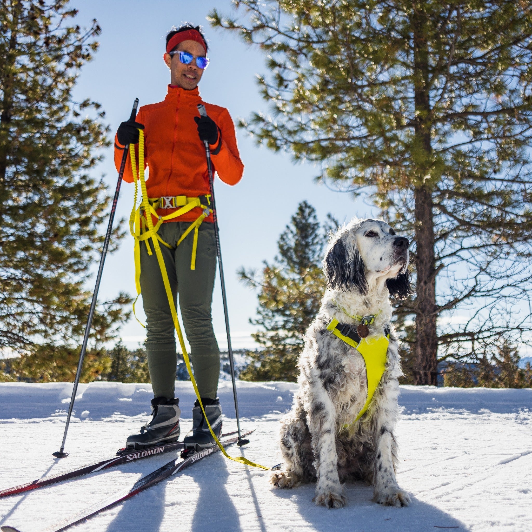 Ruffwear Omnijore Joring System Set