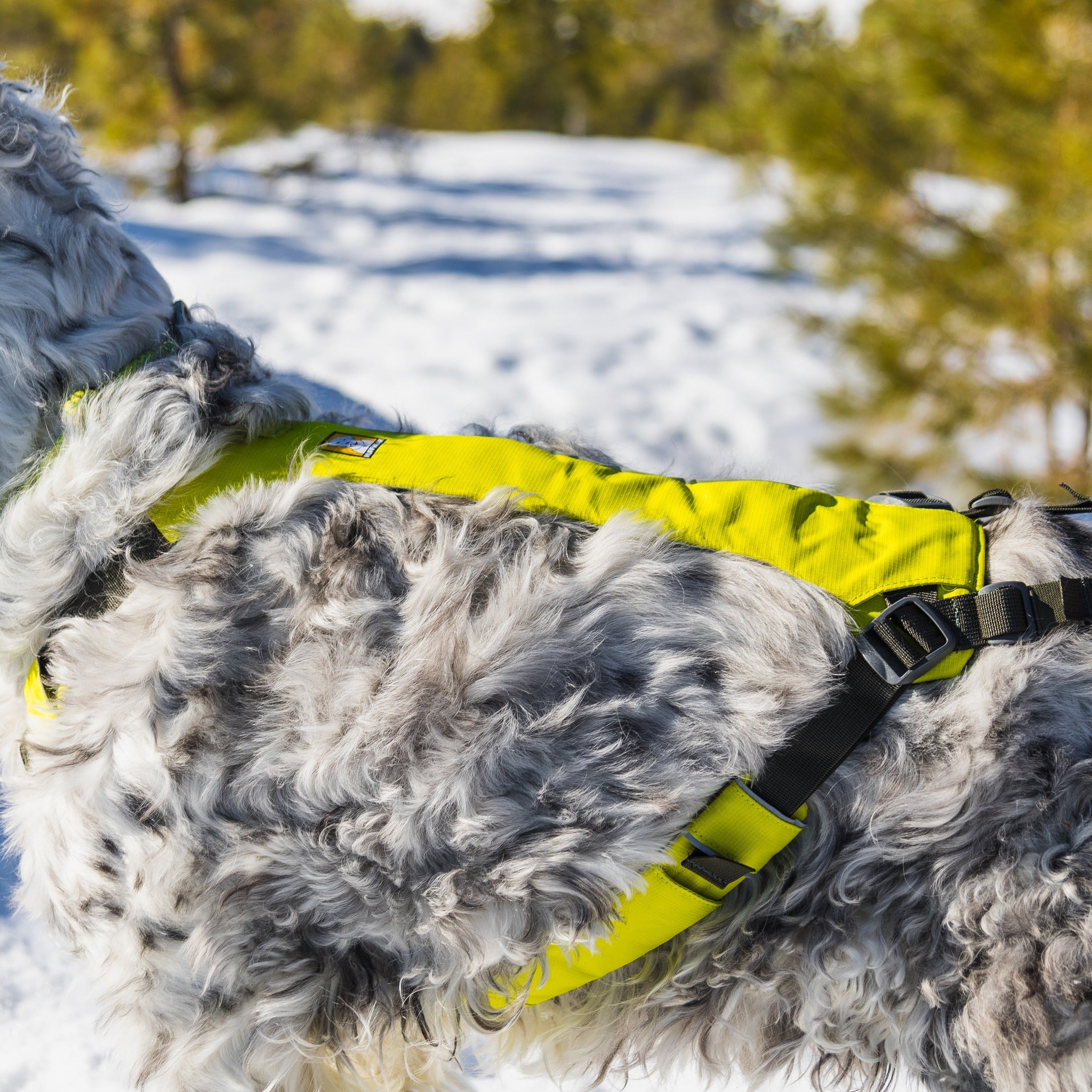 Ruffwear Omnijore Joring System Set