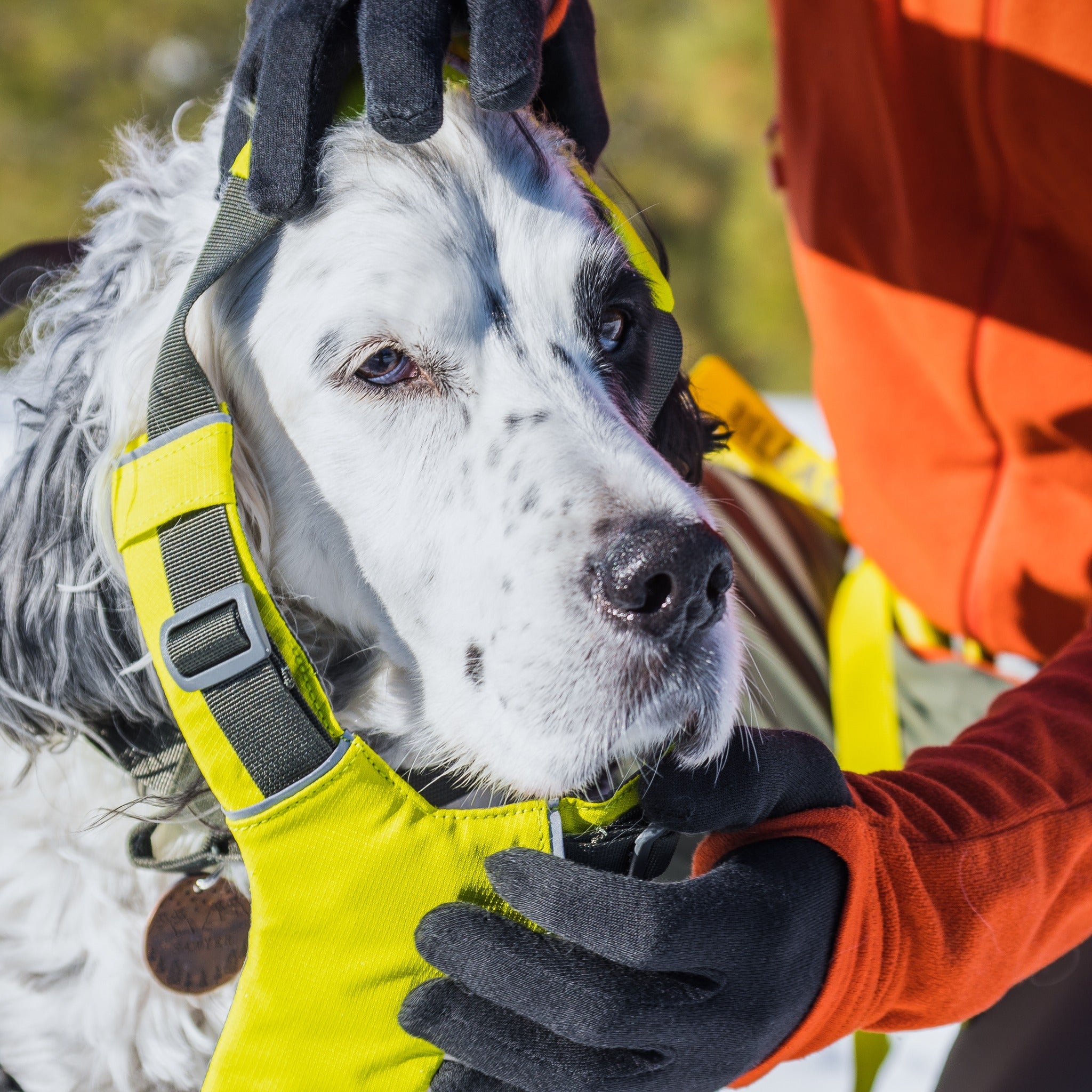 Ruffwear Omnijore Joring System Set