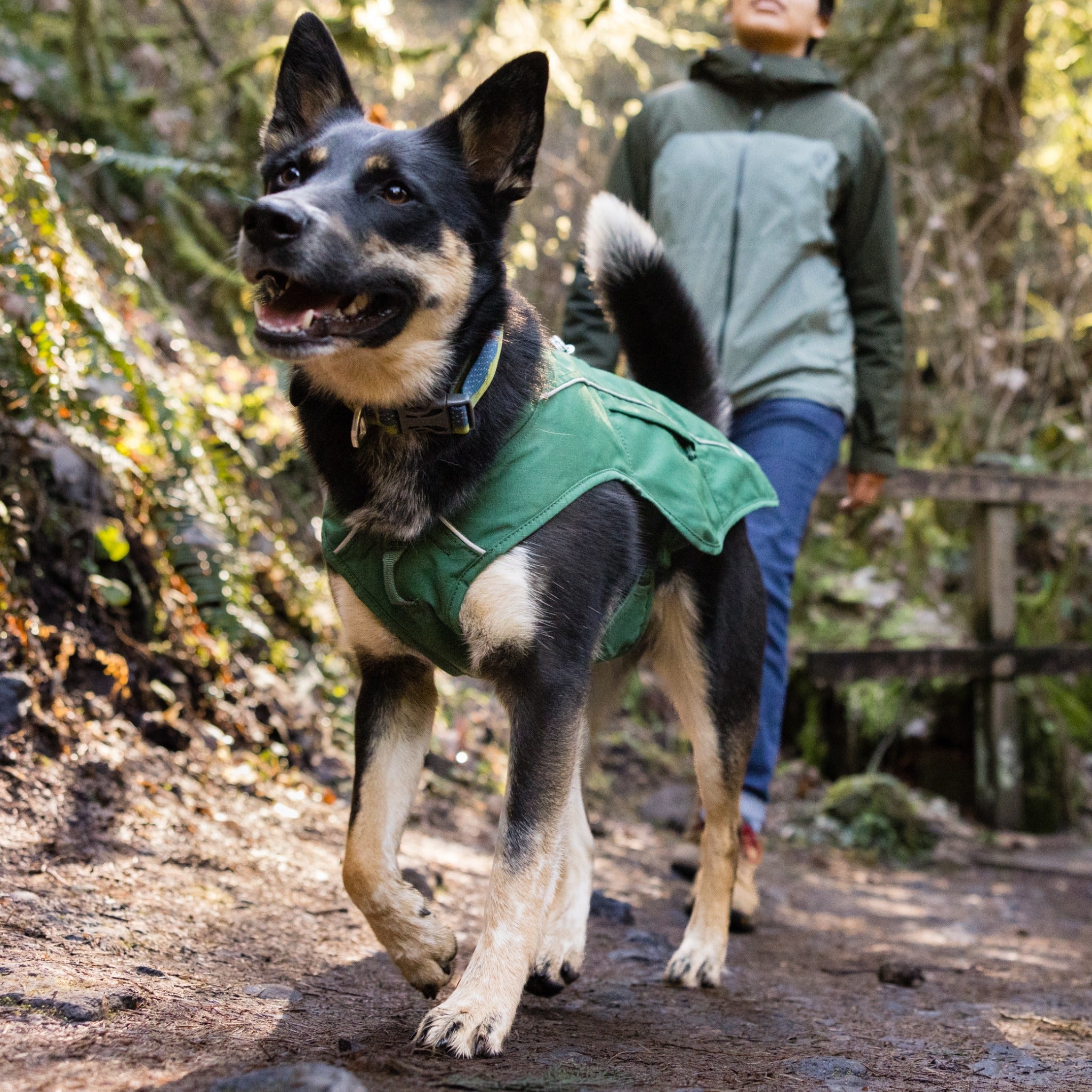 Ruffwear Overcoat Fuse Jacket dog coat