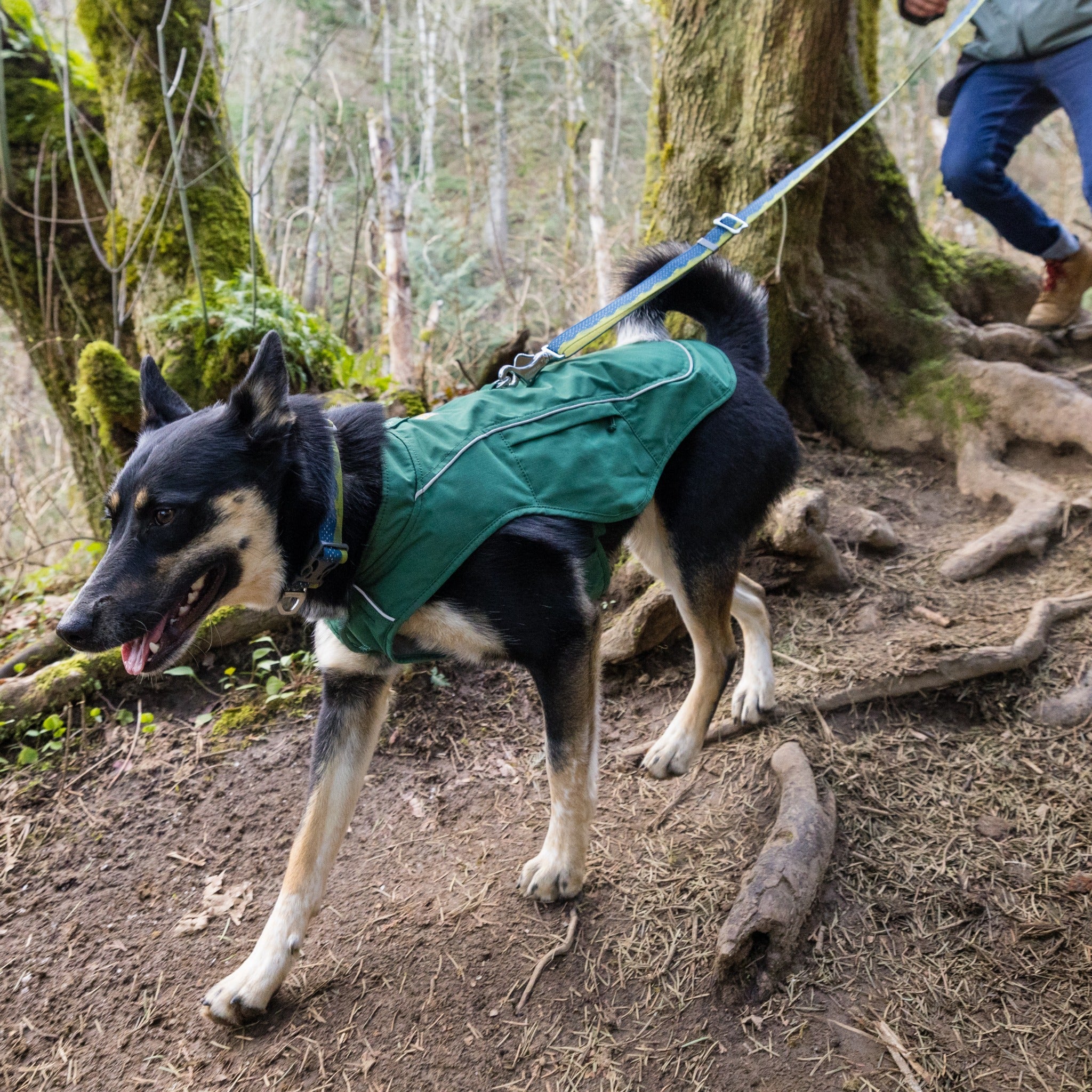 Ruffwear best sale fuse jacket