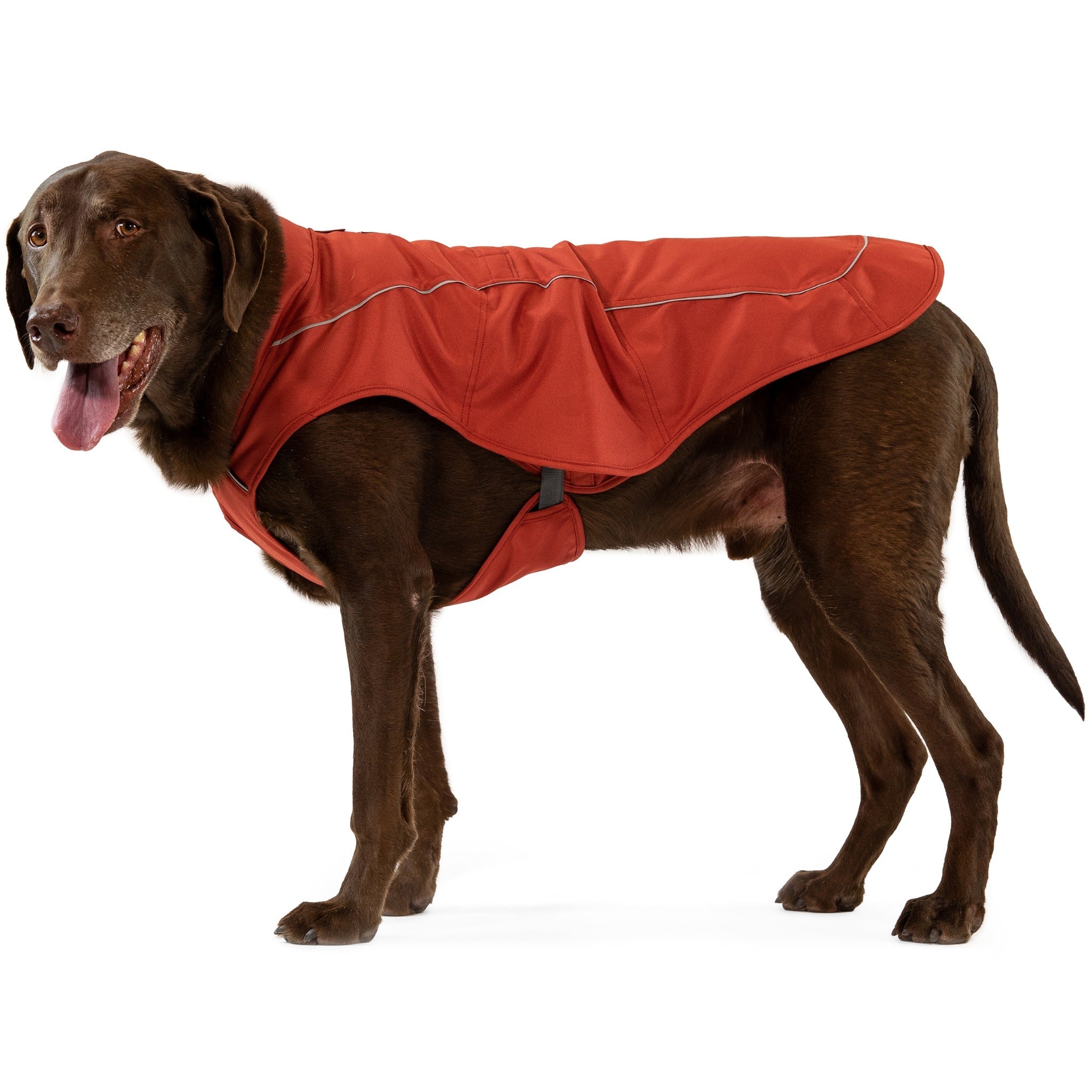 Manteau ruffwear new arrivals