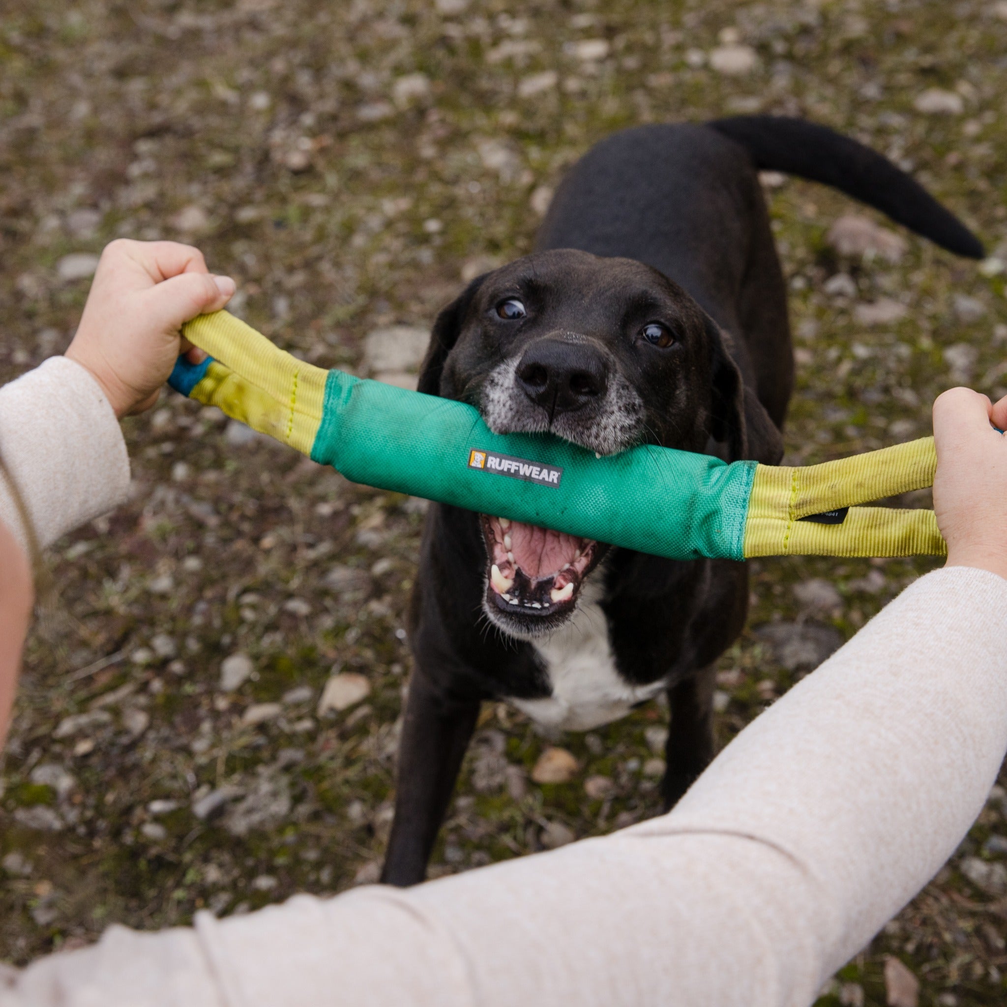 Ruffwear Pacific Loop dog toy