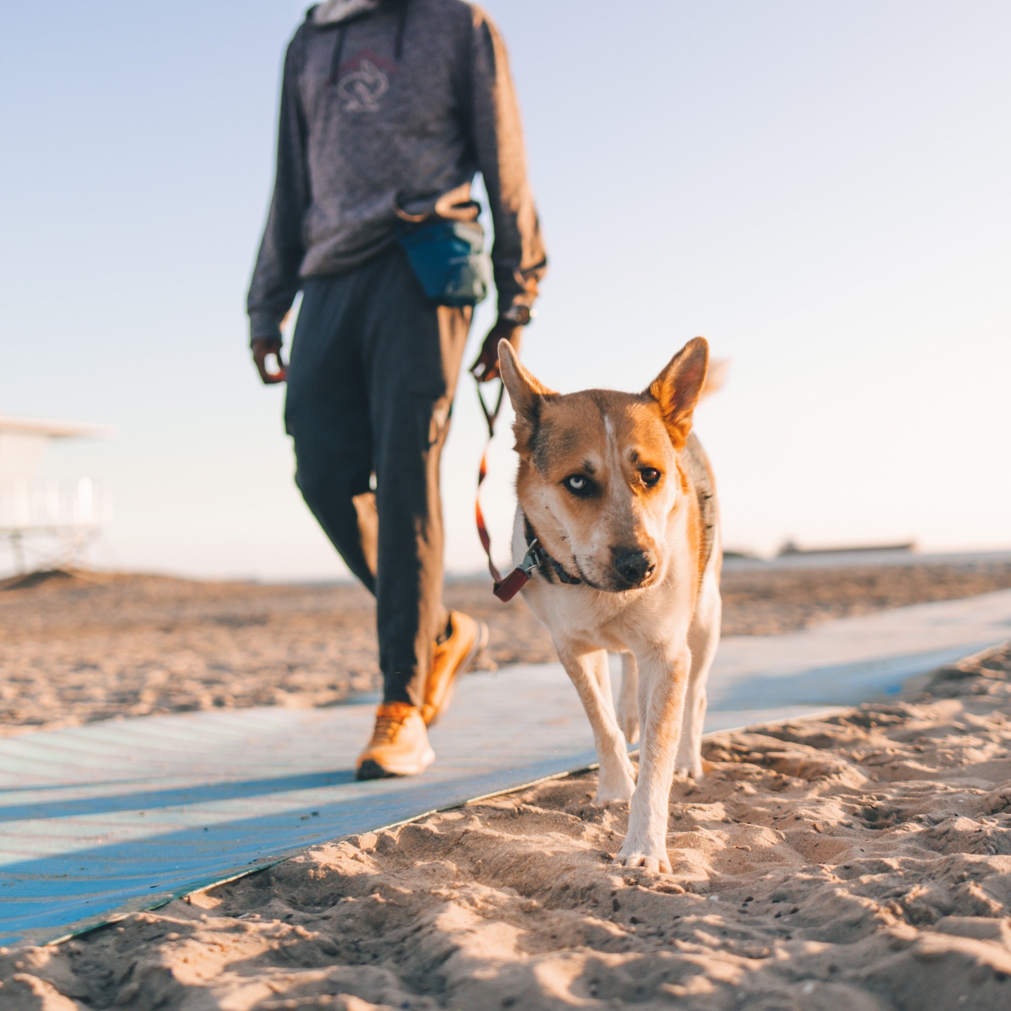 Ruffwear Pack Out Poop Bag