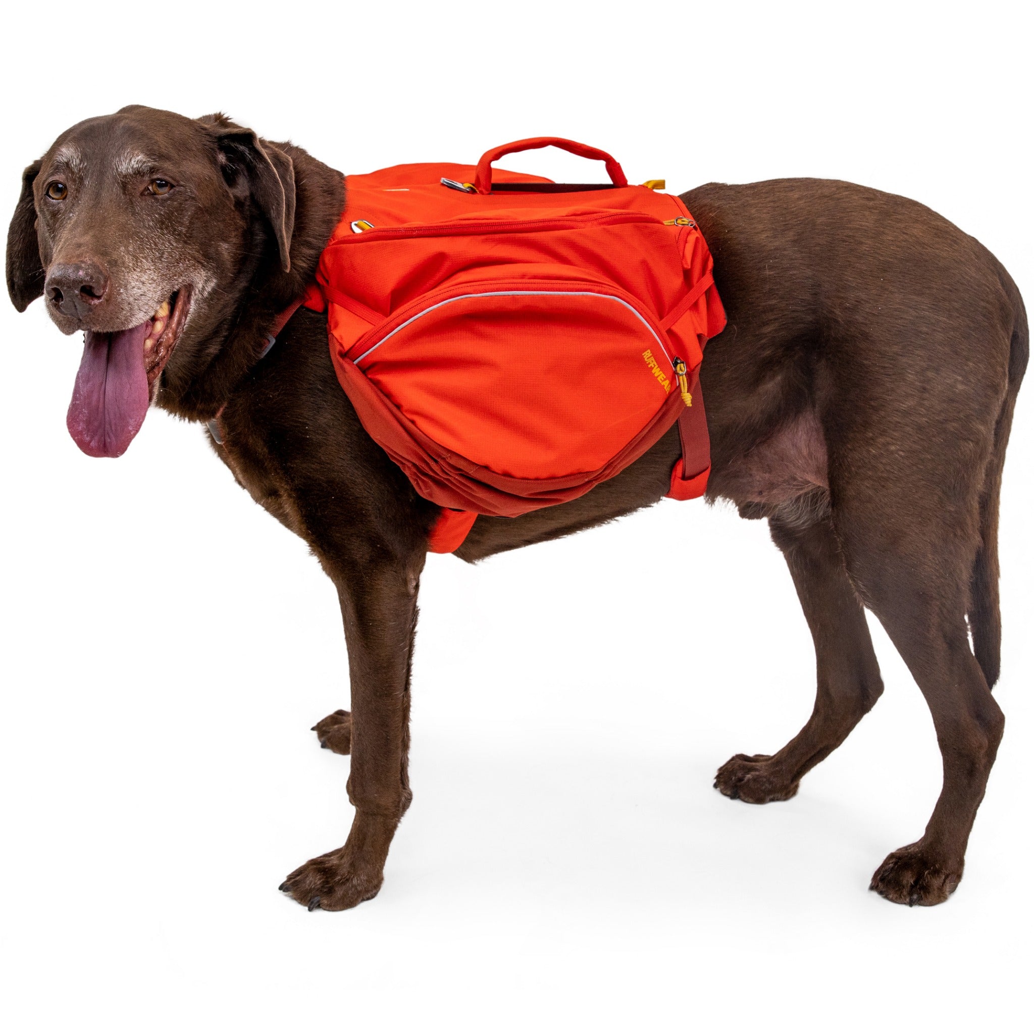 Ruffwear Palisades Pack Hunderucksack