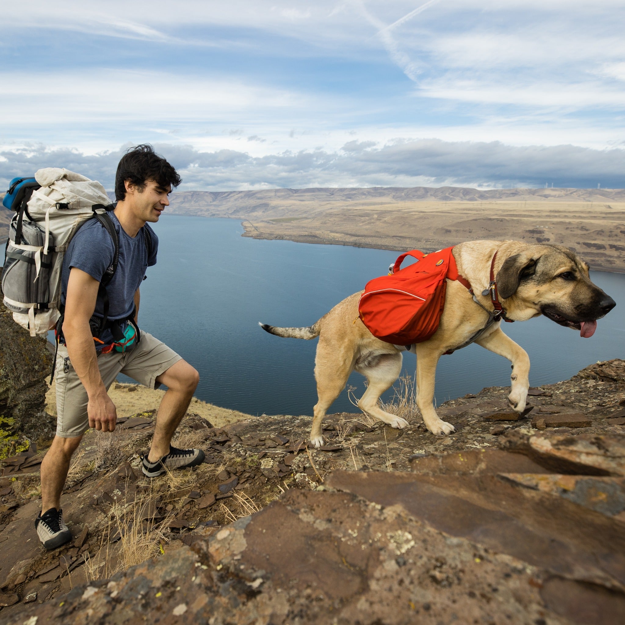 Ruffwear Palisades Pack Hunderucksack