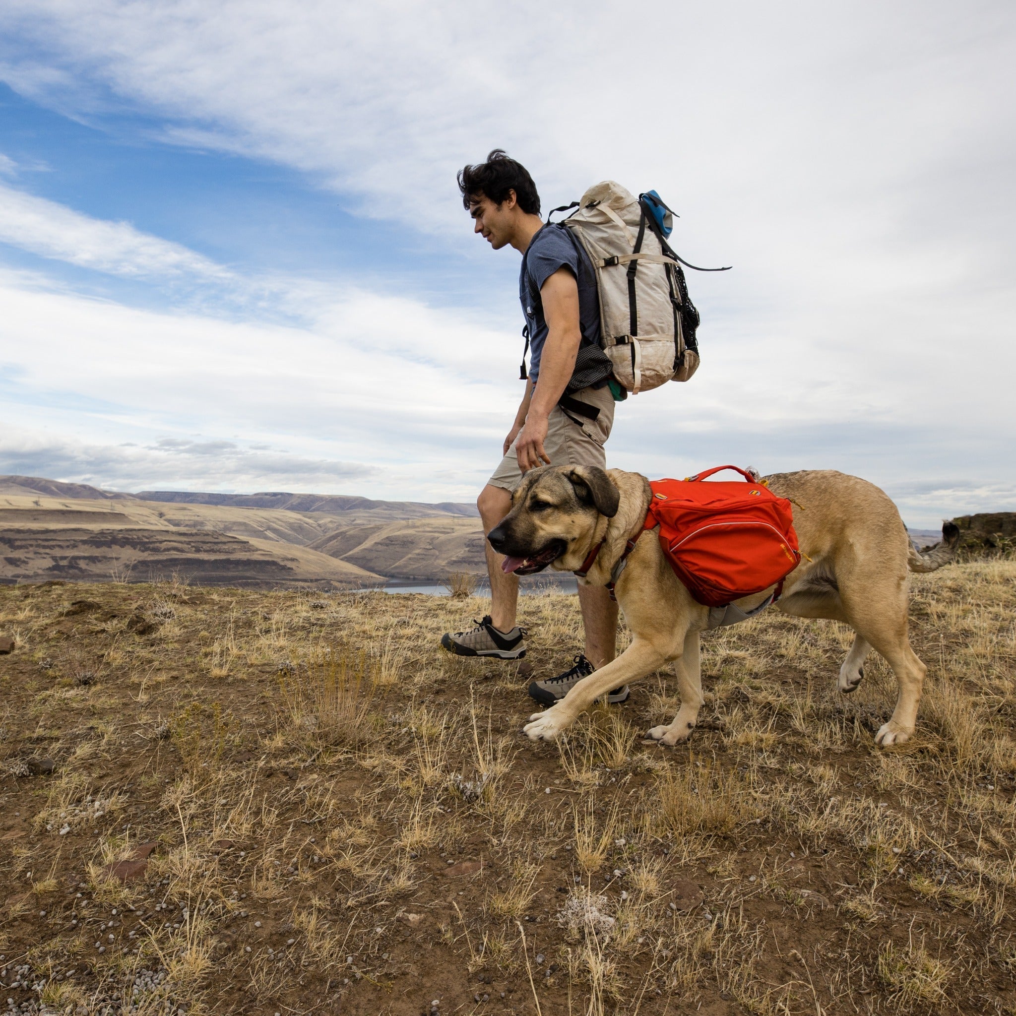 Ruffwear Palisades Pack Hunderucksack