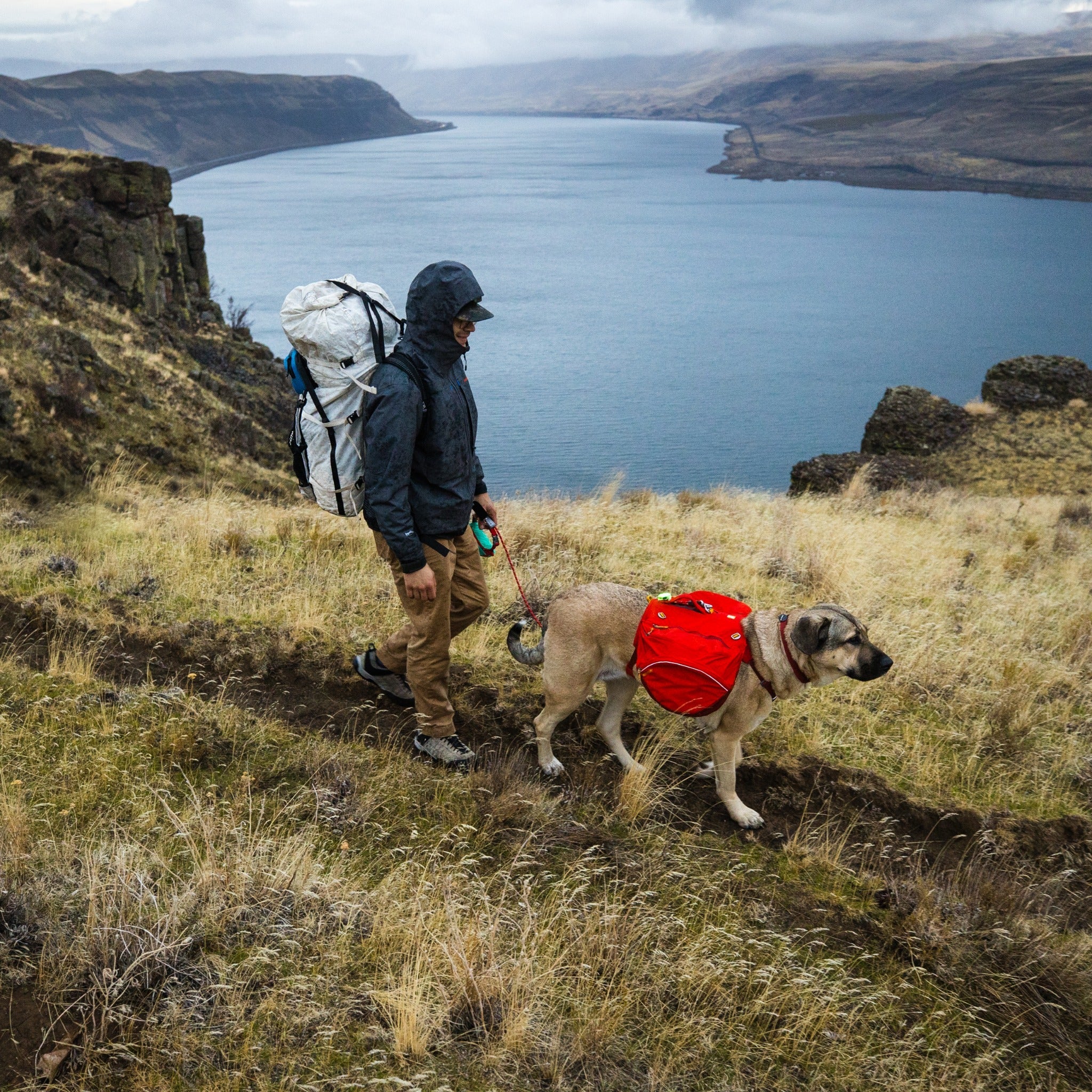 Ruffwear Palisades Pack Hunderucksack