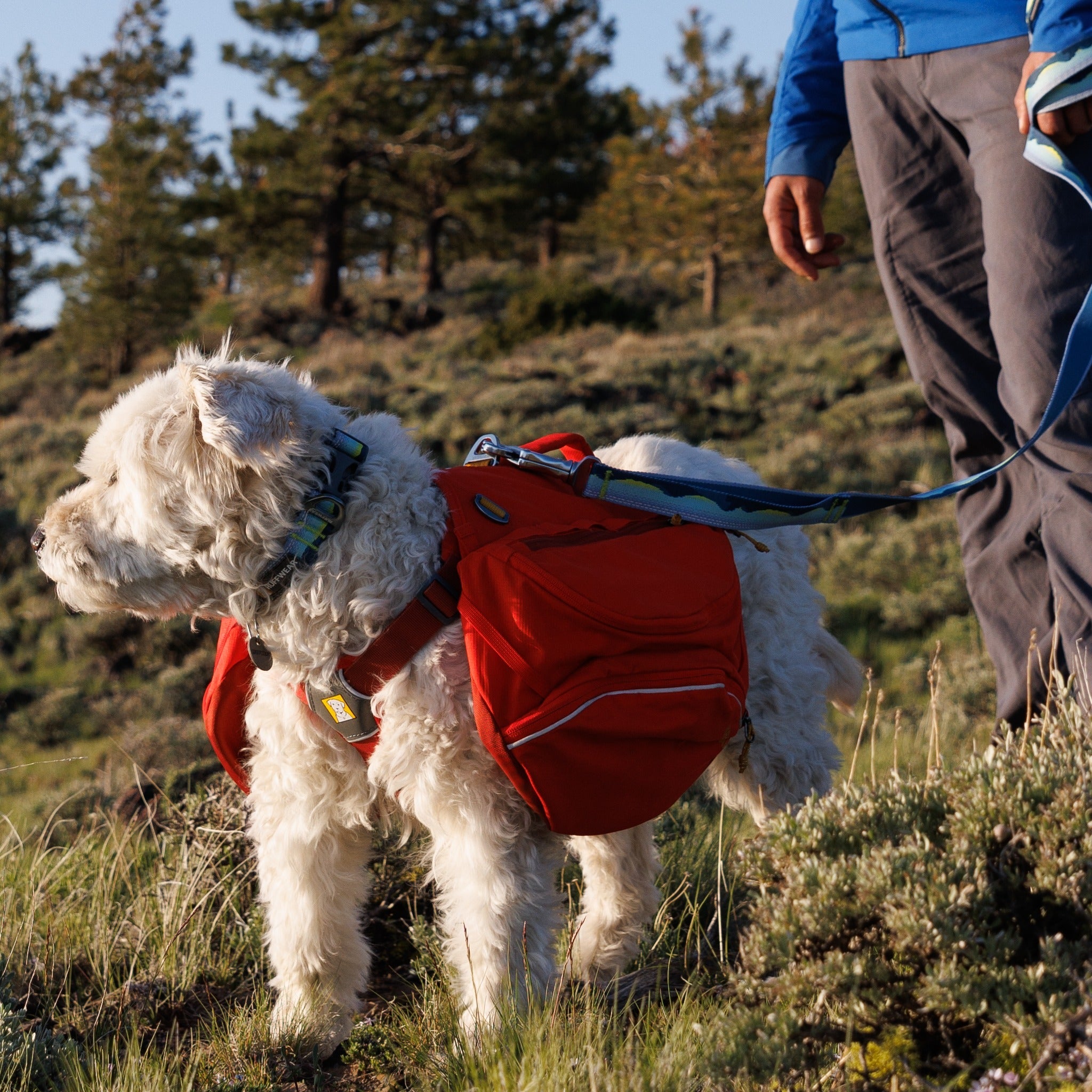 Ruffwear Palisades Pack dog backpack