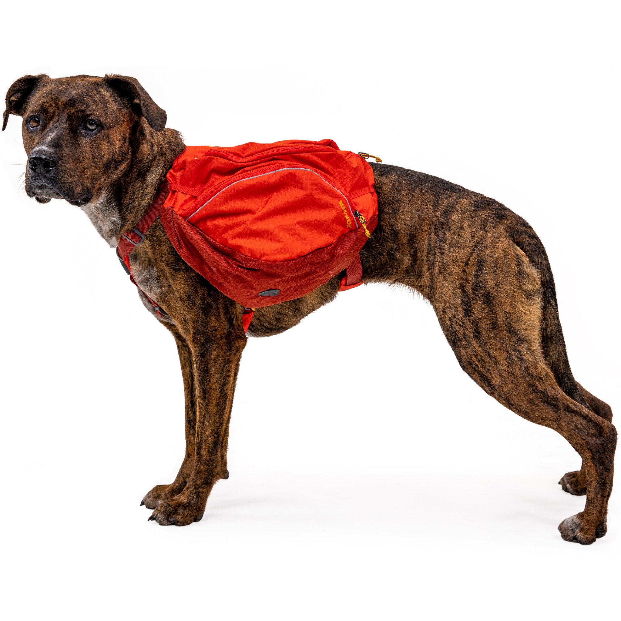 Ruffwear Palisades Pack Hunderucksack