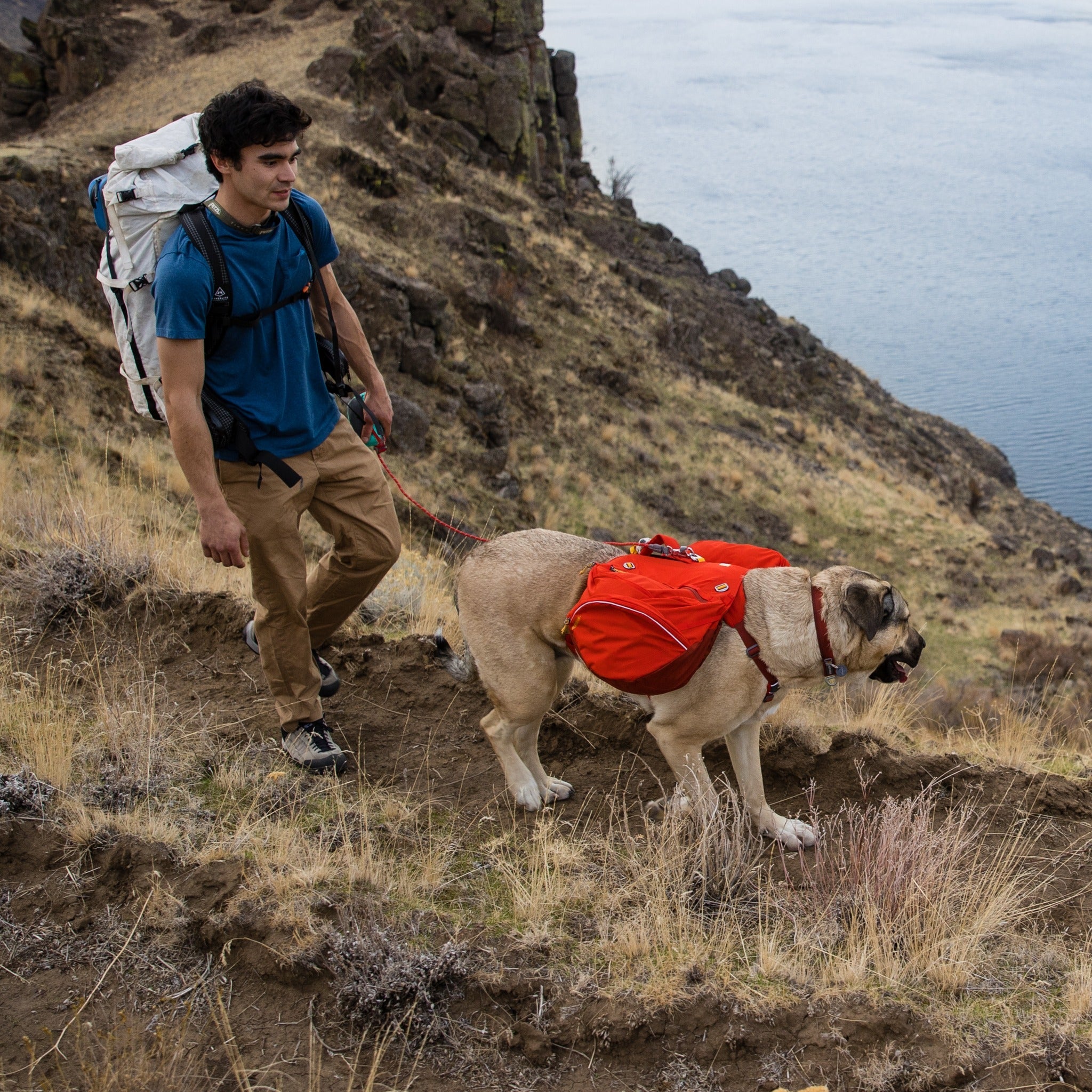 Ruffwear Palisades Pack Hunderucksack