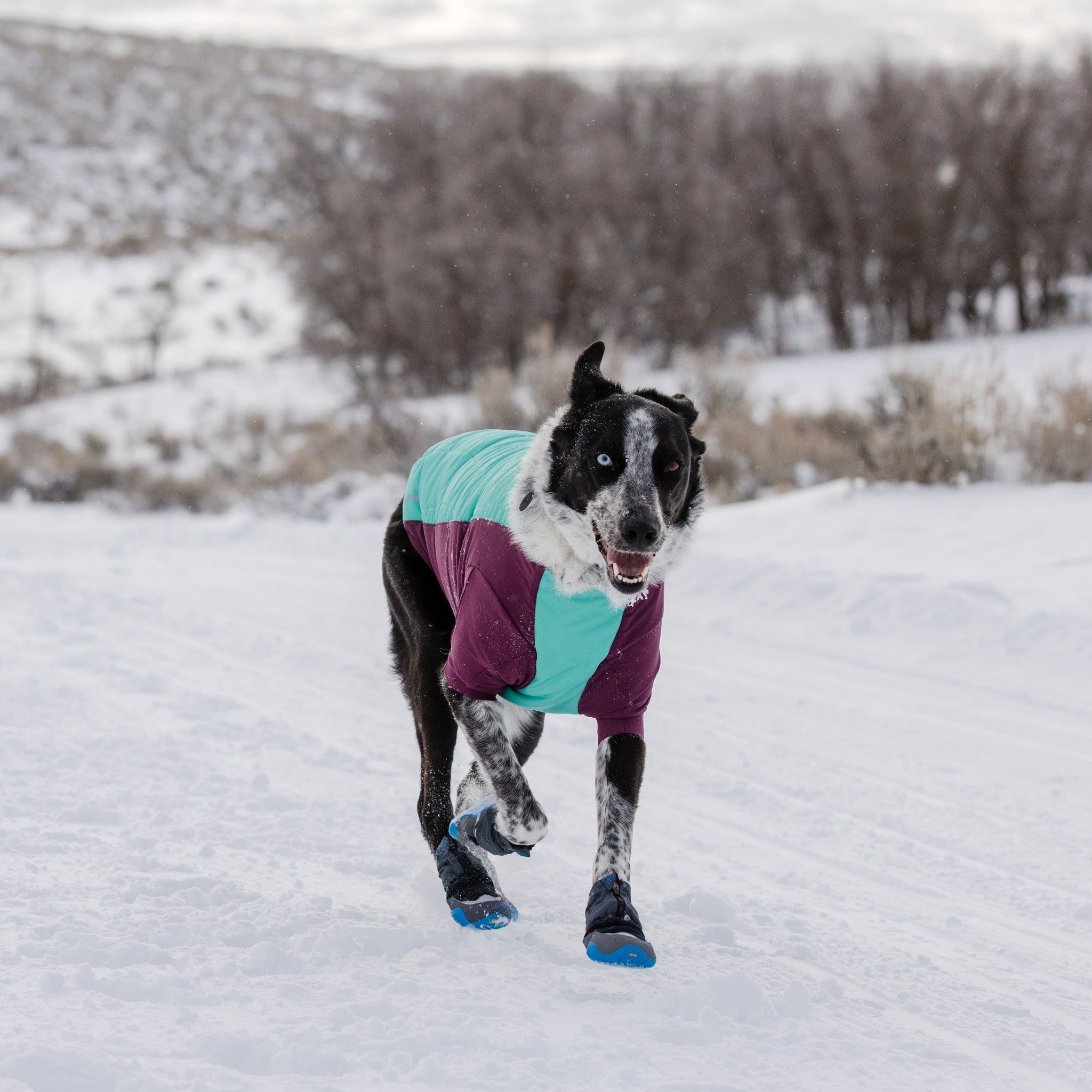 Ruffwear 2024 snow boots