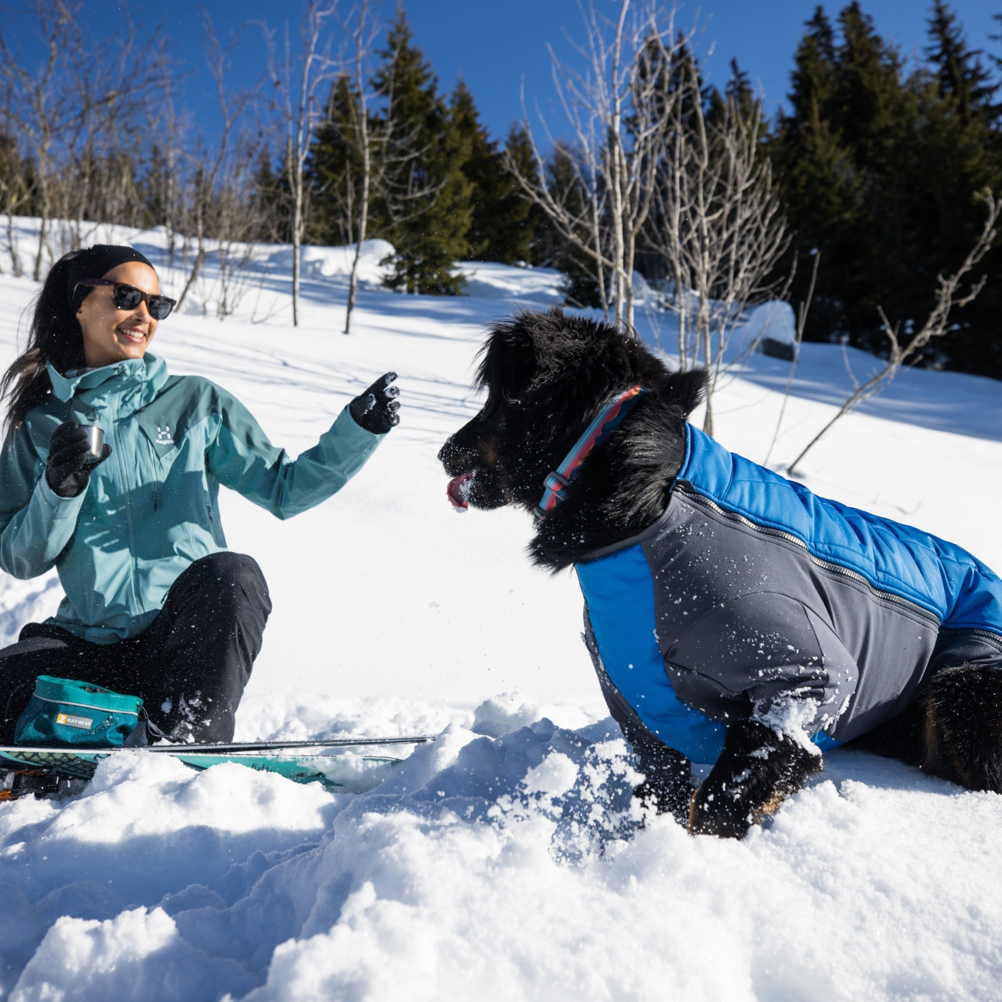 Ruffwear Powder Hound dog jacket