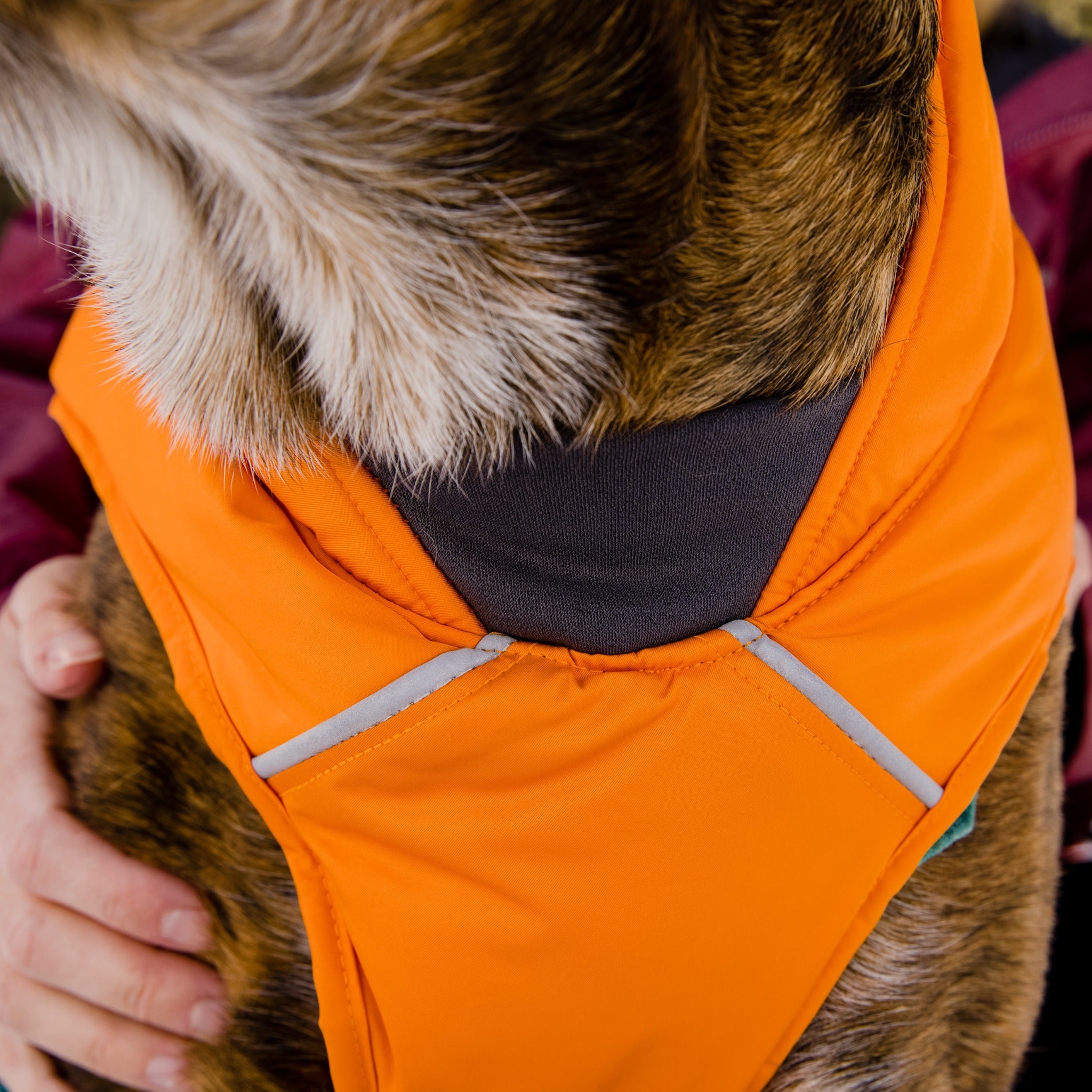 Ruffwear Quinzee dog coat