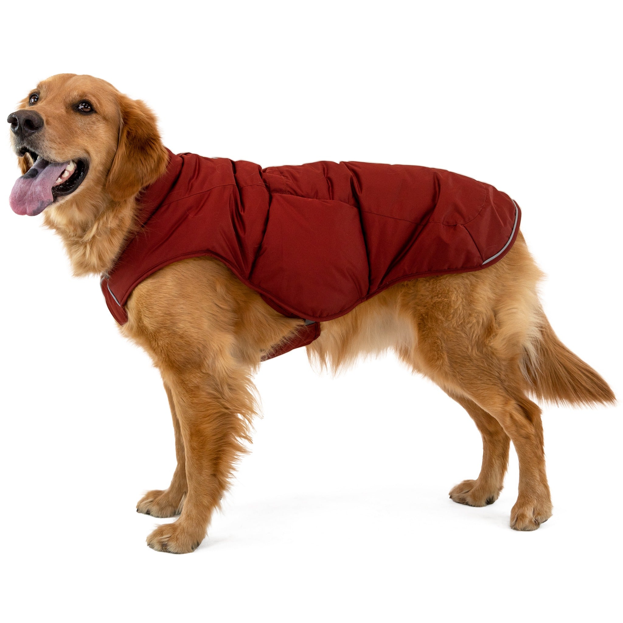 Quinzee 2025 dog jacket