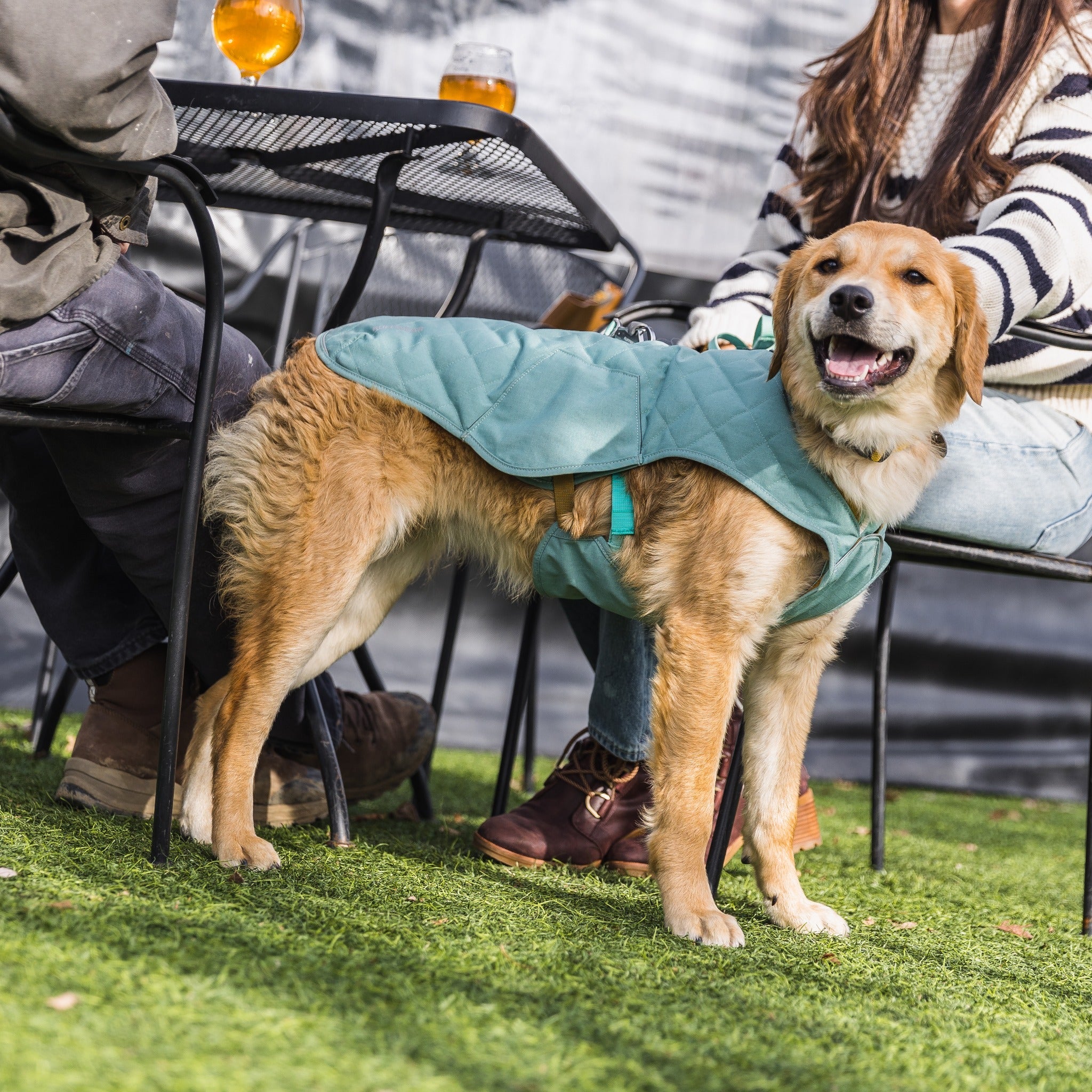 Ruffwear hotsell dog fleece