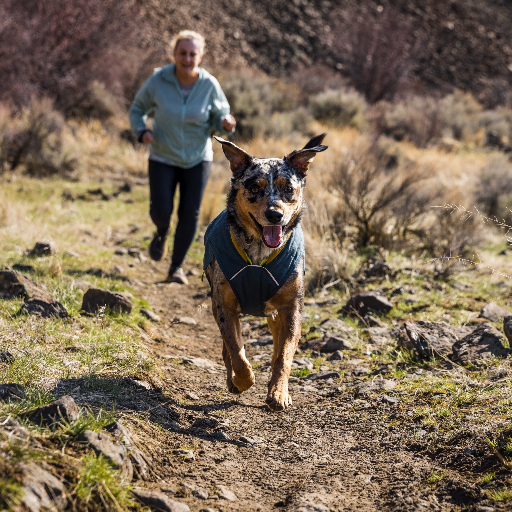 Ruffwear Stumptown Jacket dog coat