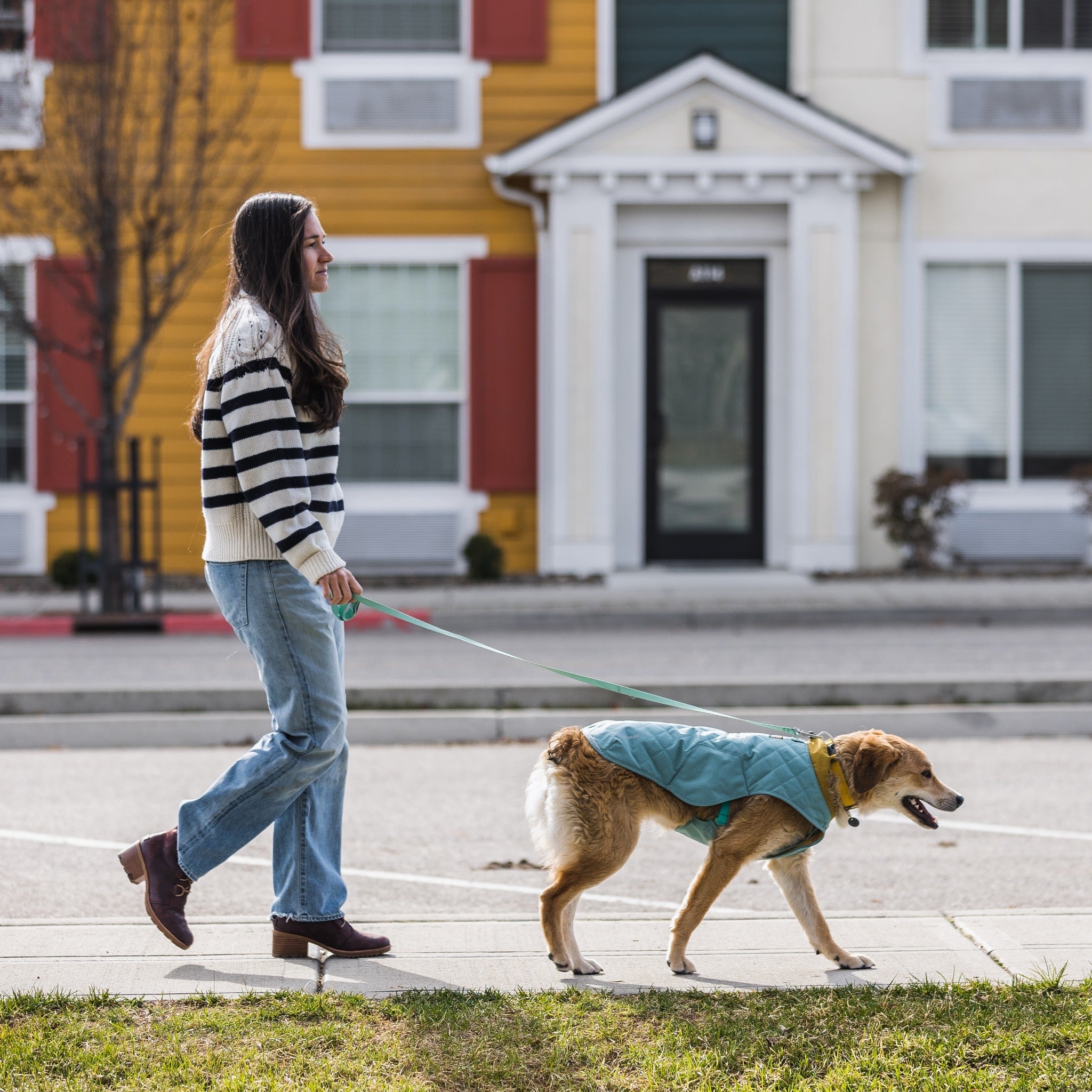 Ruffwear Stumptown Jacket dog coat