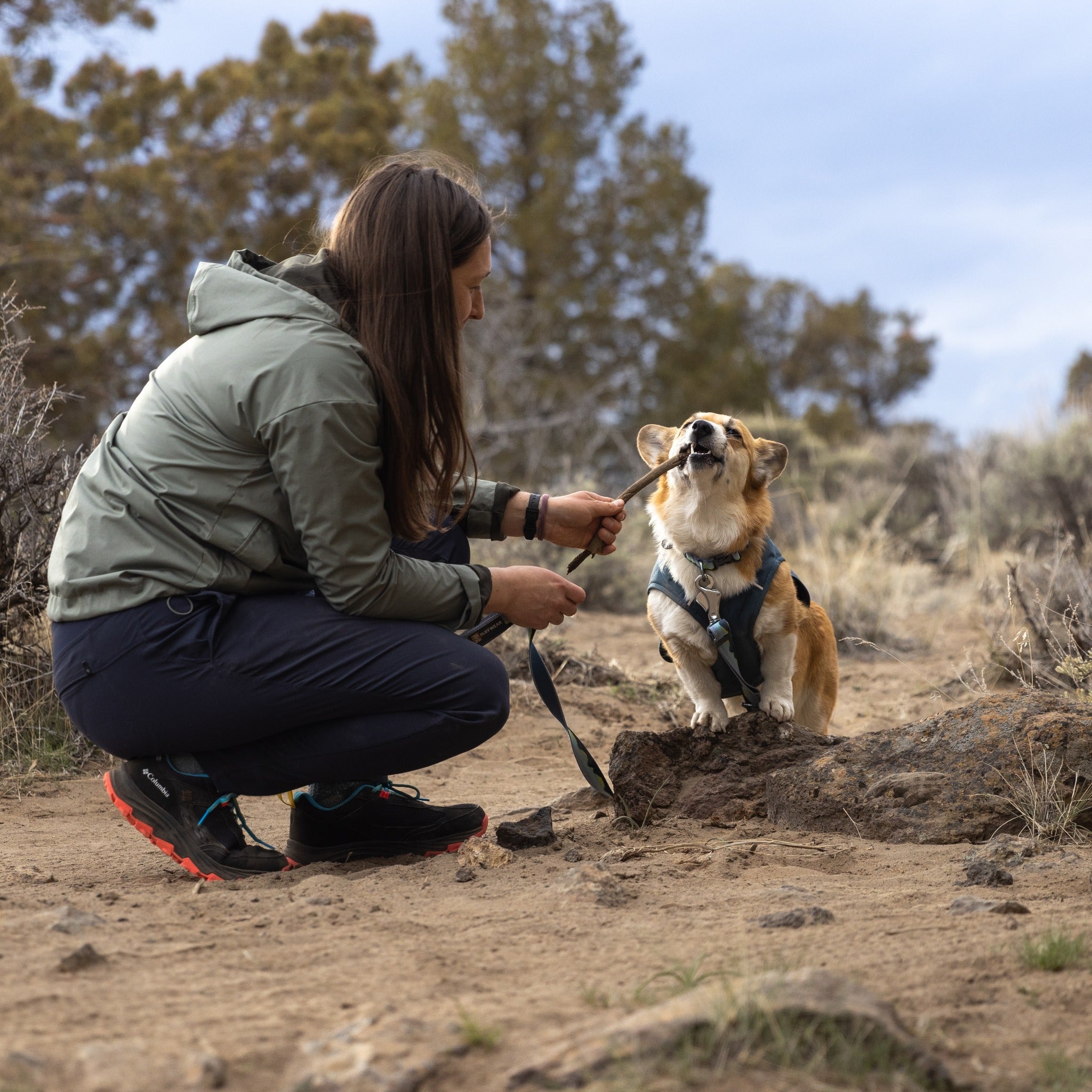 Columbia dog hot sale jacket